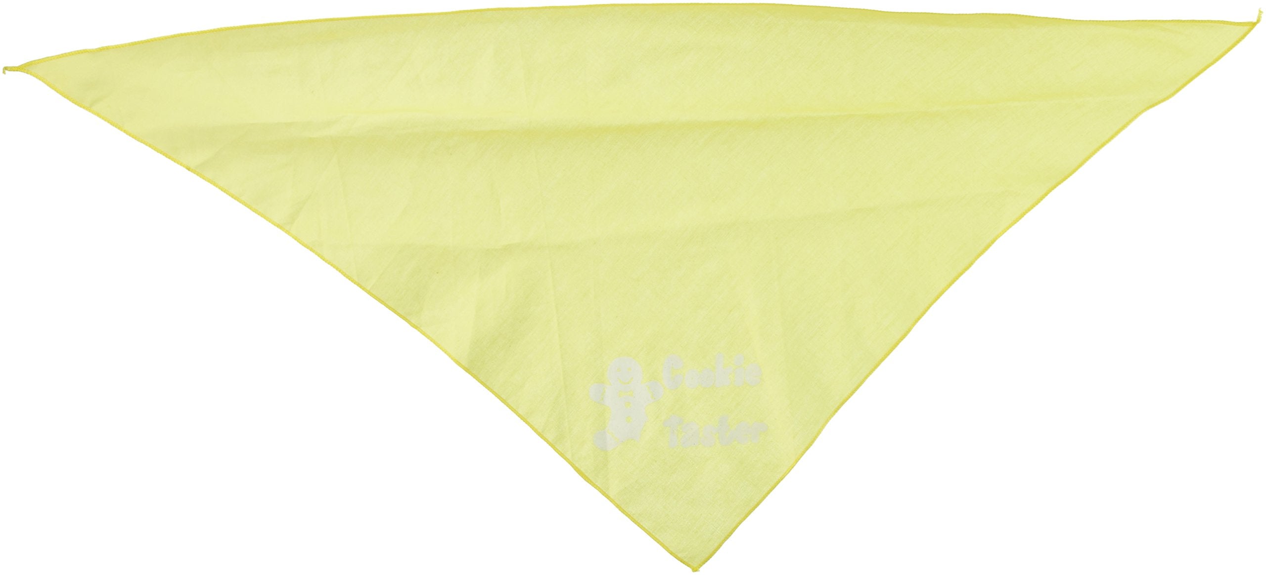 Christmas Pet and Dog Bandana Screen Printed, &quot;Dear Santa... I Went With Naughty&quot; Tuquoise Large