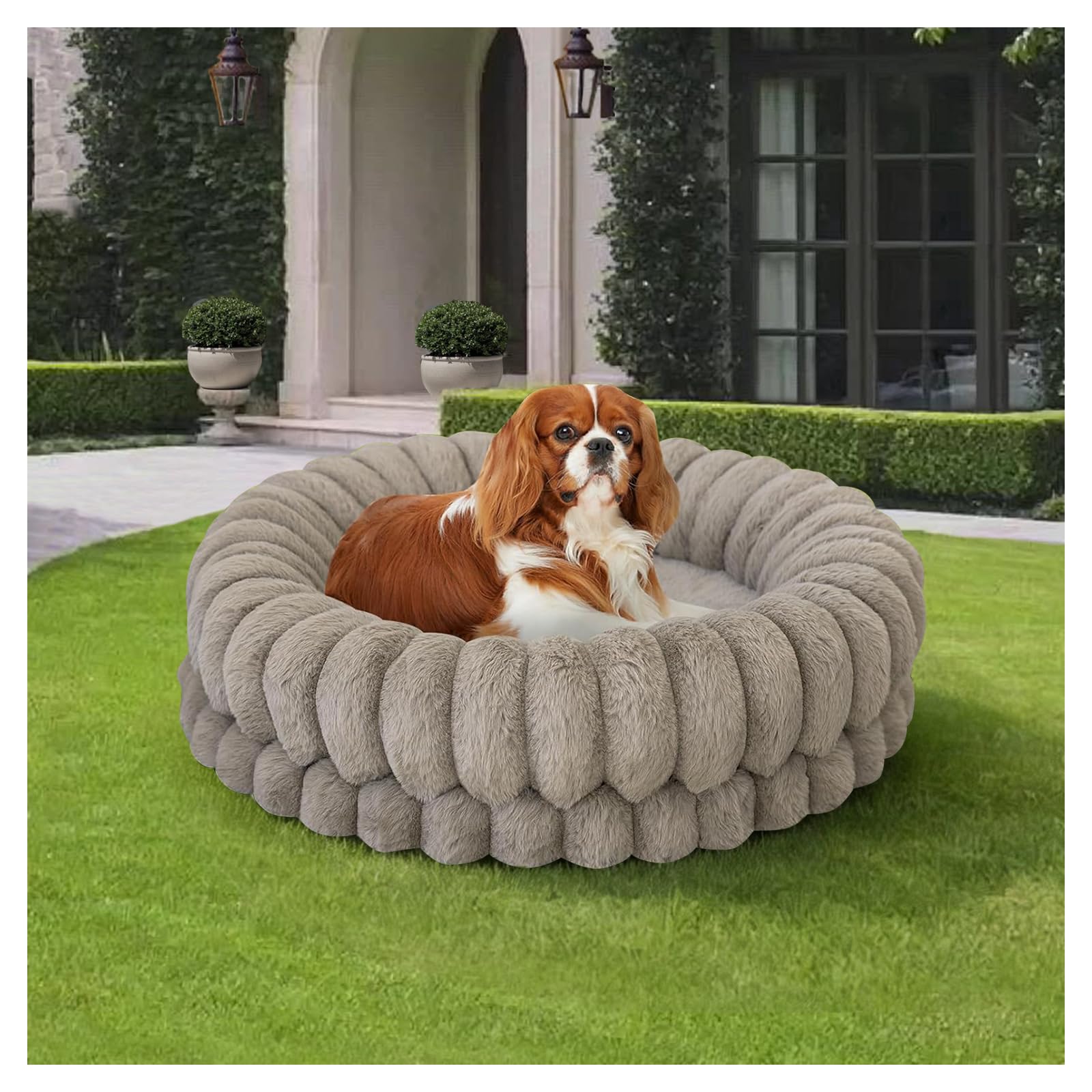 BALANCE Luxury Donut Dog Bed, 24 Inches Round Dog Beds for Small Dogs Washable, Orthopedic Calming Pet Bed for Puppy and Cats wi