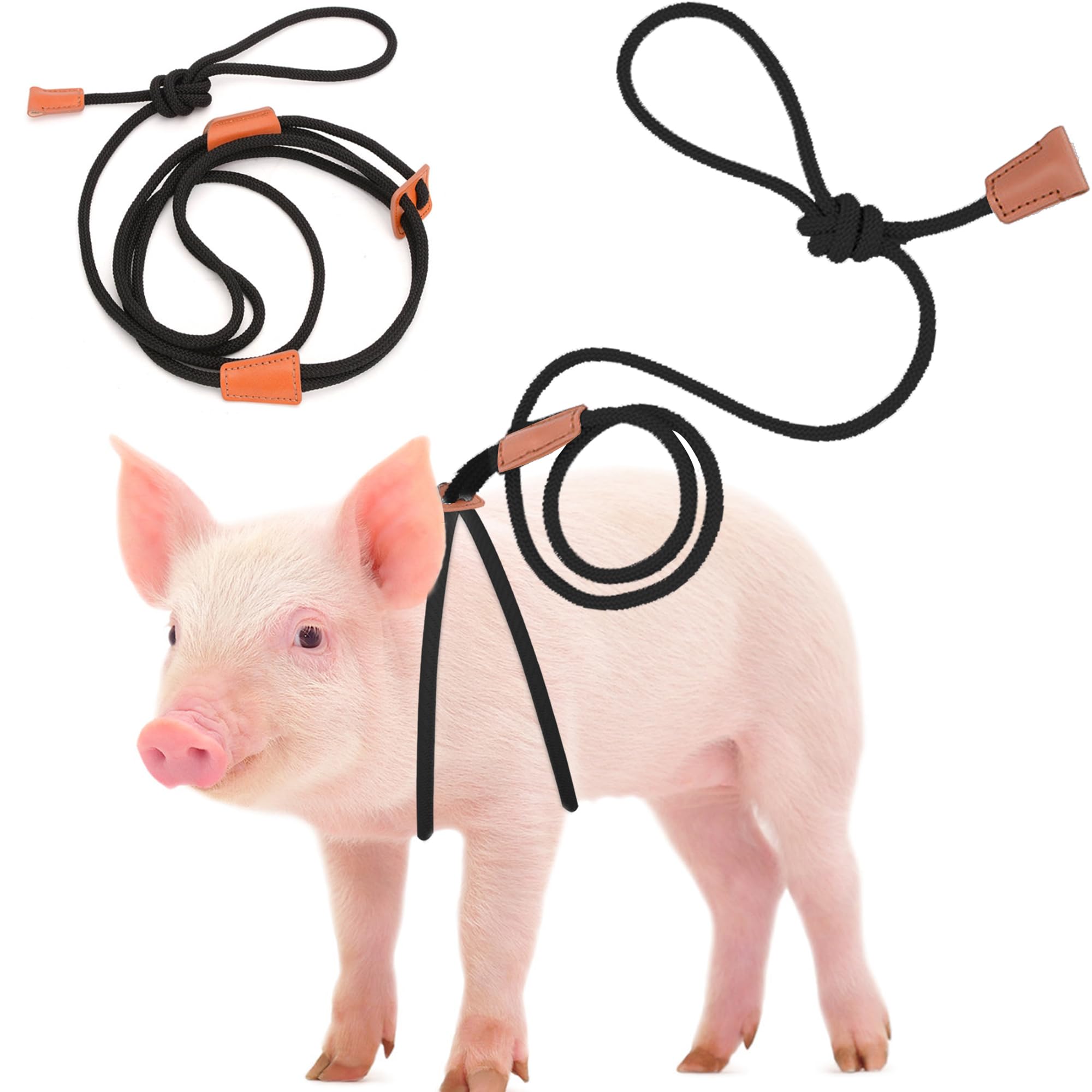 Drunhan Mini Pig Harness & Leather, Pet Pig Supplies, Adjustable Rope (9 Inches Long -1/2 Inches Diameter), Suitable For Small A