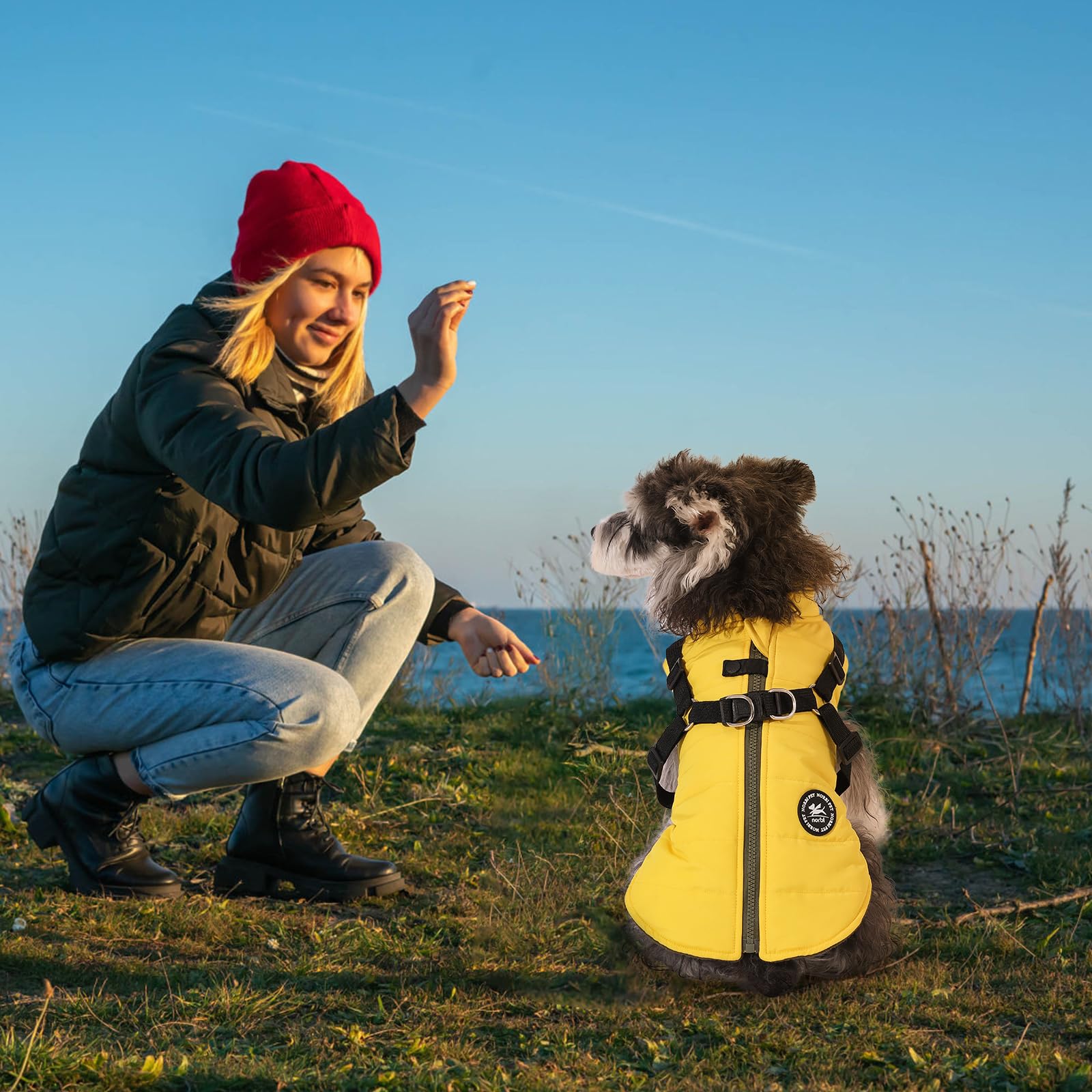 Norbi Dog Winter Jacket With Built-In Harness - Adjustable Warm Coats For Small To Large Dogs - Cold Weather Protection