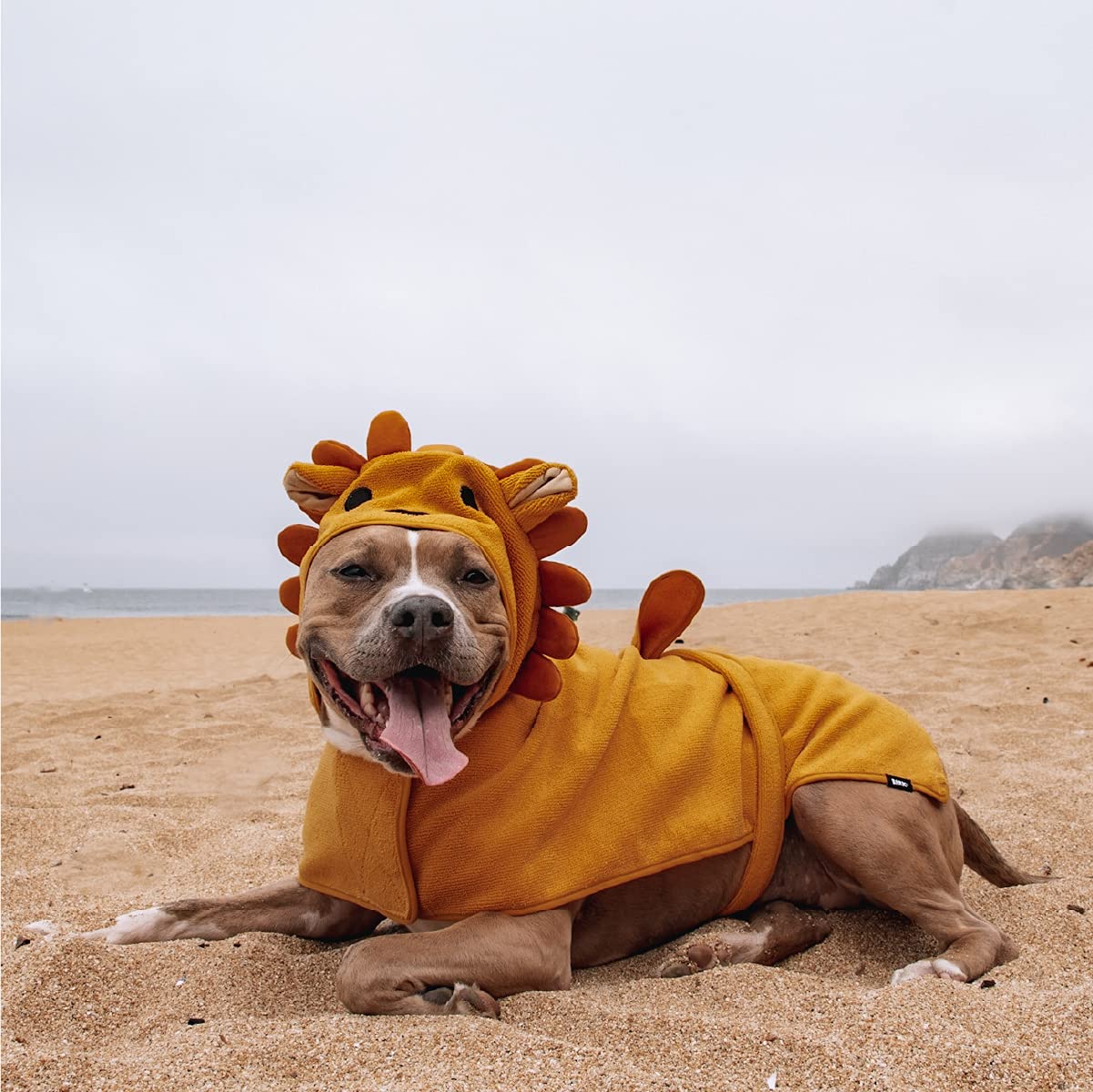 Barkbox - Premium Absorbent Hooded Dog Bathrobe Towel Bundle - Quick Drying Pet Towel For Bath & Beach Trips - Luxurious & Soft Bathrobe Towel For Dogs Of All Breeds - Lion & Rhino - Small