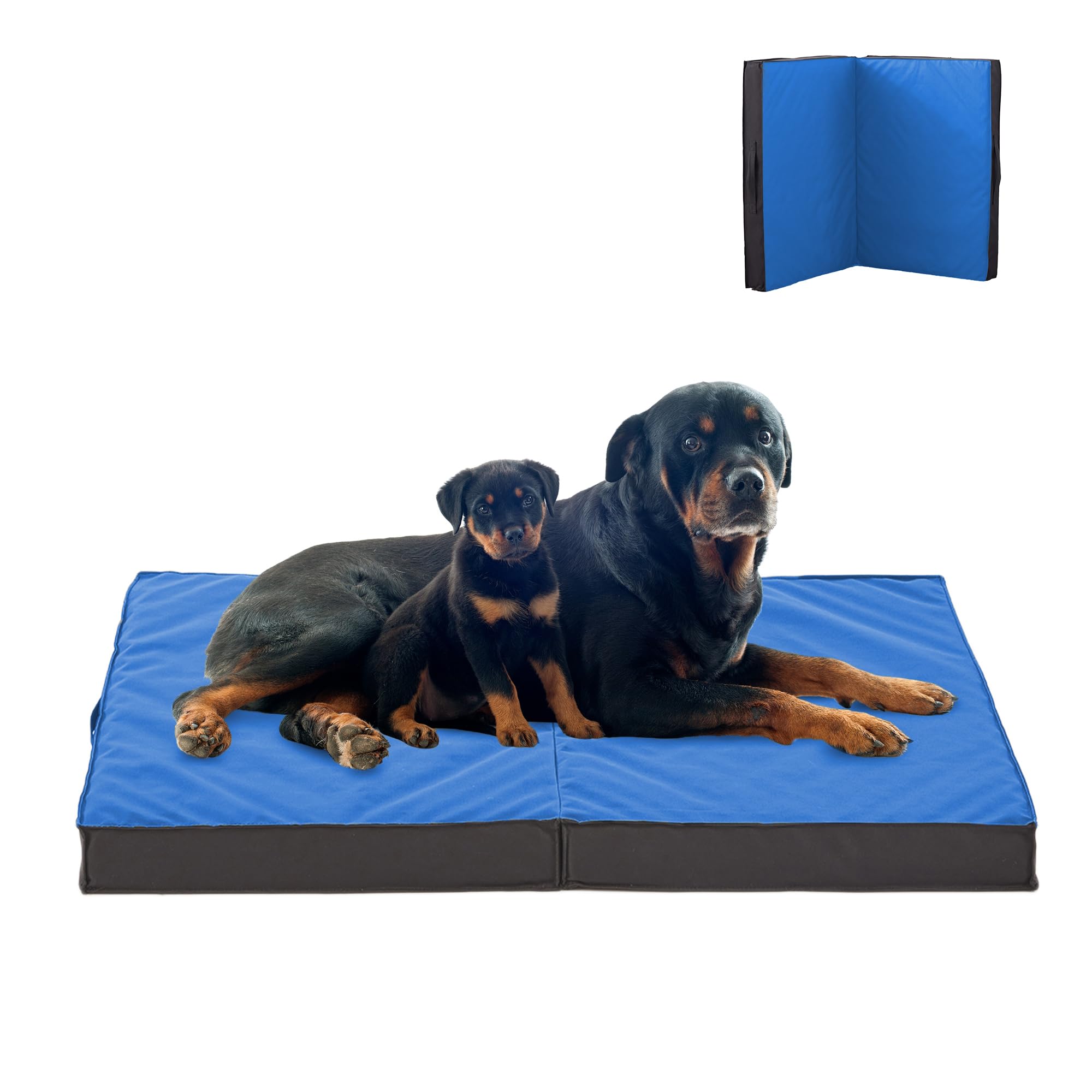 Petabby Outdoor Dog Bed - Waterproof, Portable, Foldable, Orthopedic For Large Dogs - 41'' All Weather Use