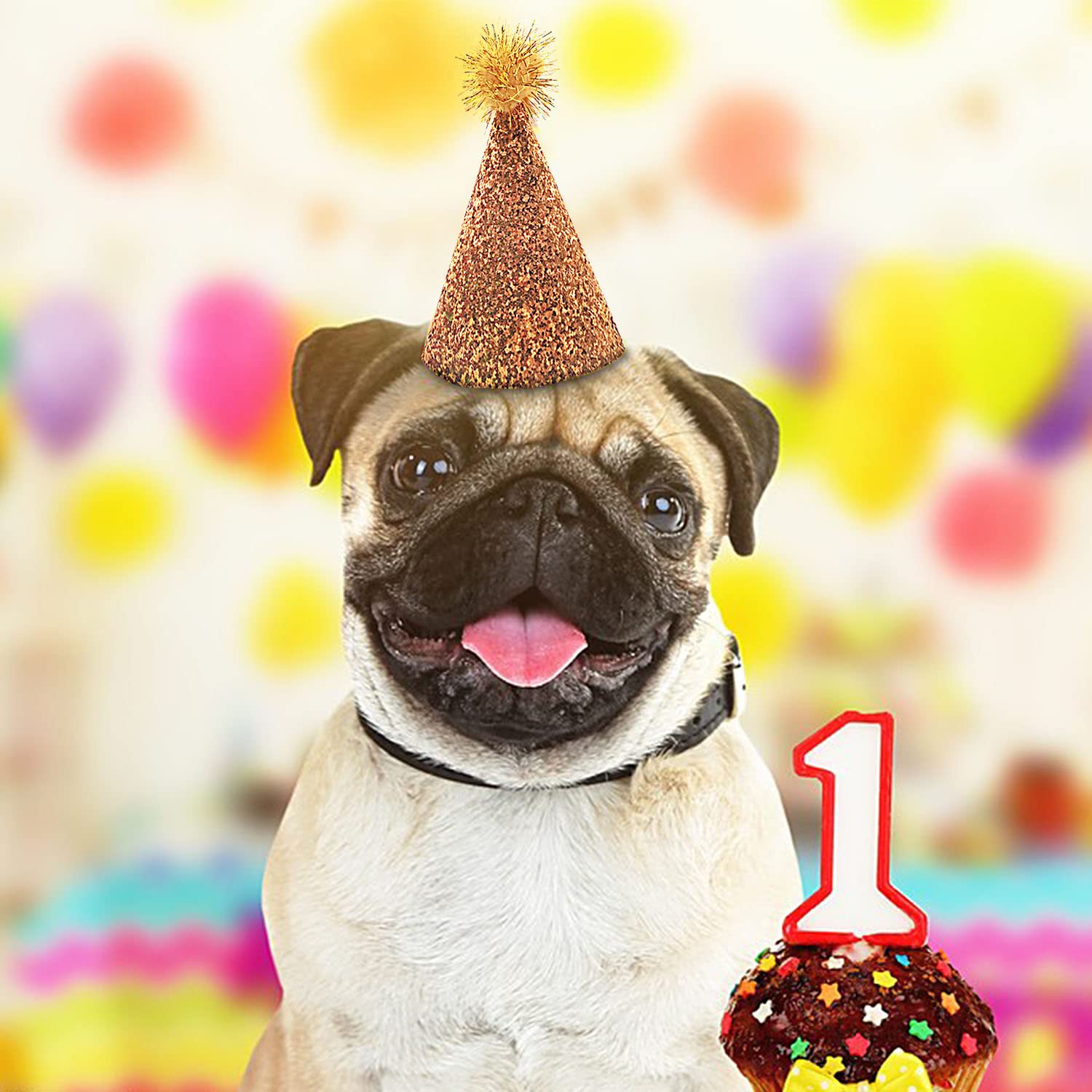 Pet Show 5Pcs/Pack Small Dog Hat Set Pet Birthday Hats For Boys Girls Holiday Party Apparel Accessories With 0-9 Numbers And Adj