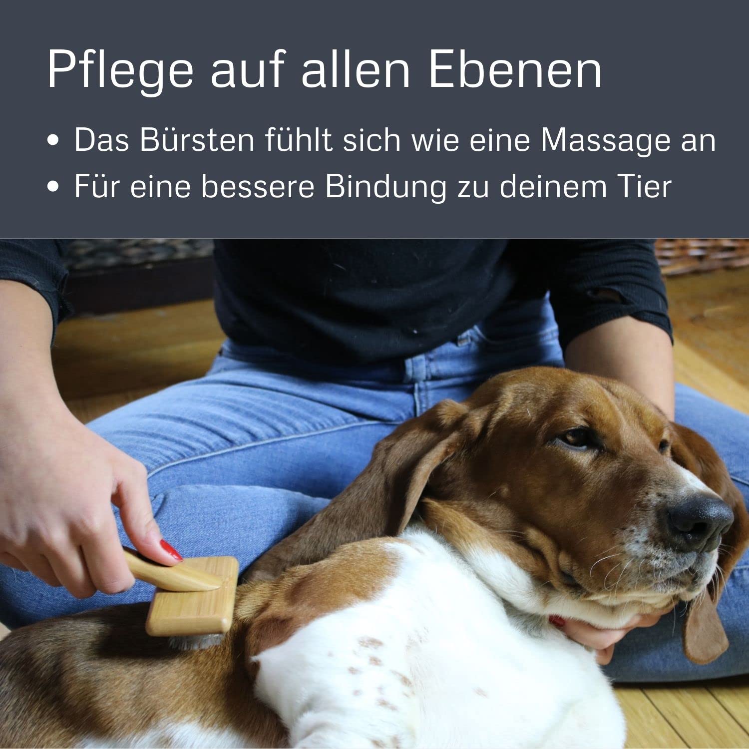 Bamboo Groom Slicker Brush With Stainless Steel Pins For Pets, Medium