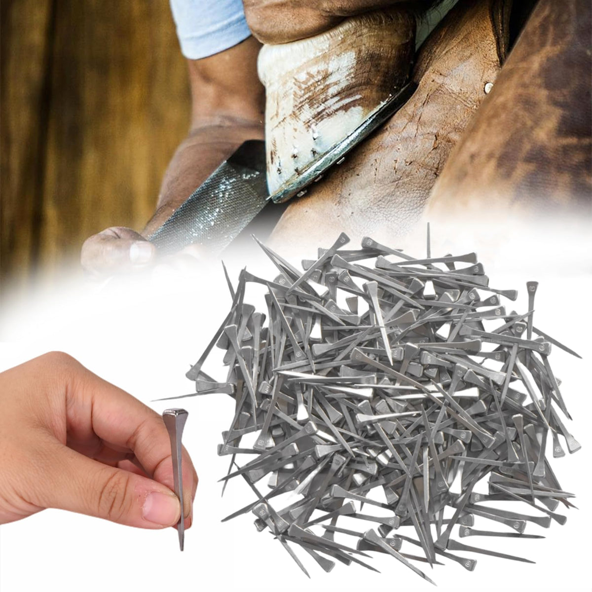 Lukar 250Pcs E5 Horseshoe Nails 2 Inch Stainless Steel Horse Shoe Nails For Stained Glass, Crafts, Horse Training Equestrian Spo