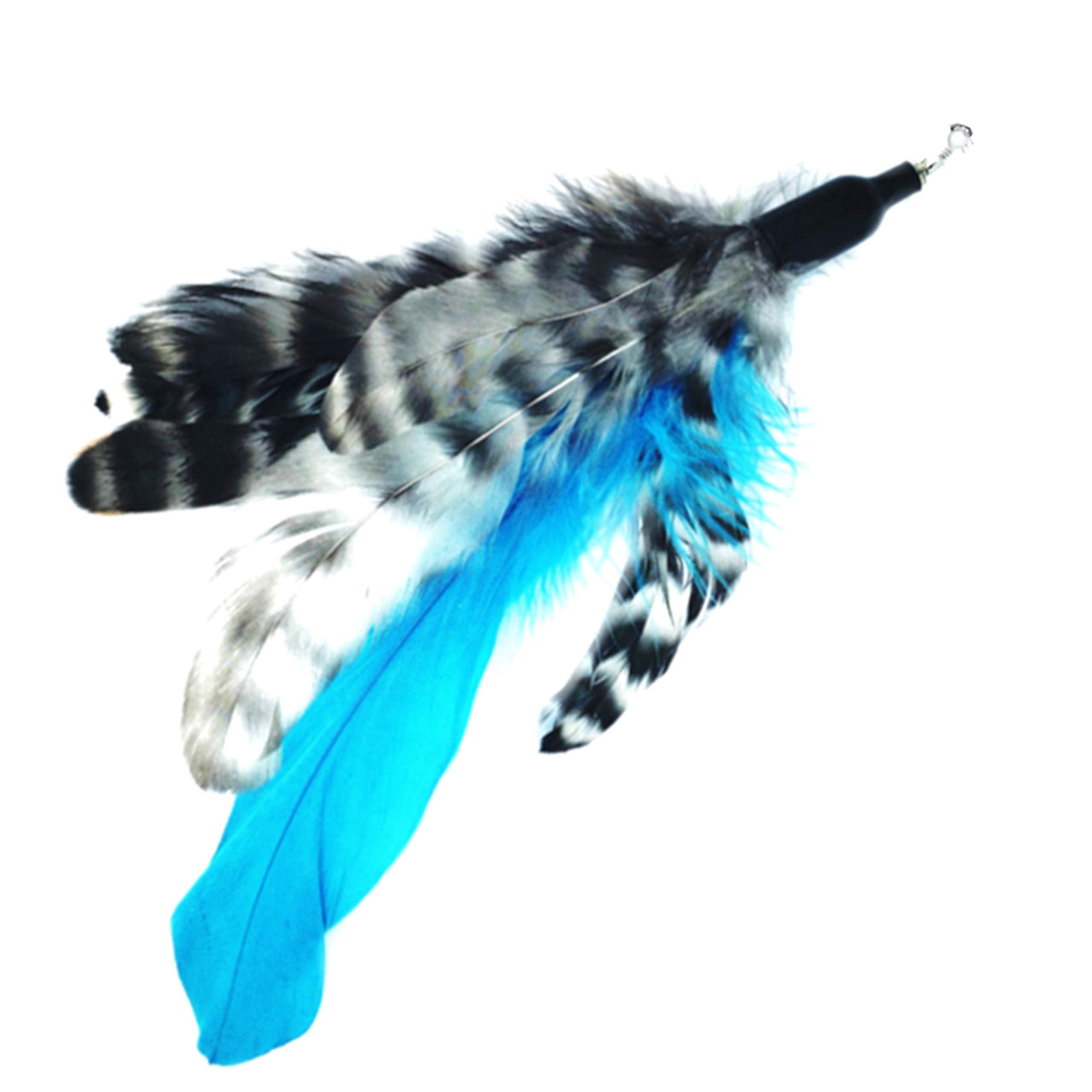 Pet Fit For Life - Retractable Feather Wand For Cats - Durable Interactive Cat Toy, Teaser Fishing Pole With Feather Lures - Fun Kitten Play Wand, 2 Feathers With String Attachment