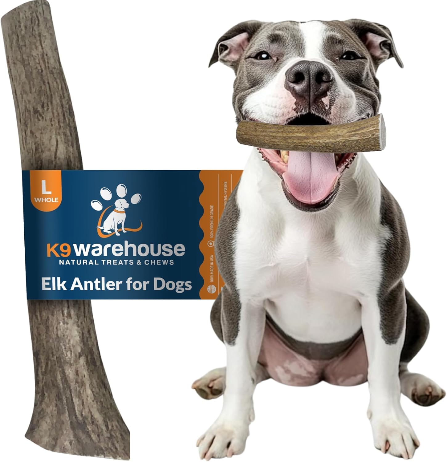 K9warehouse Natural Elk Antlers for Dogs - Premium Grade Dog Antler Chews - Long-Lasting Whole Deer Antles Ideal for Aggressive 