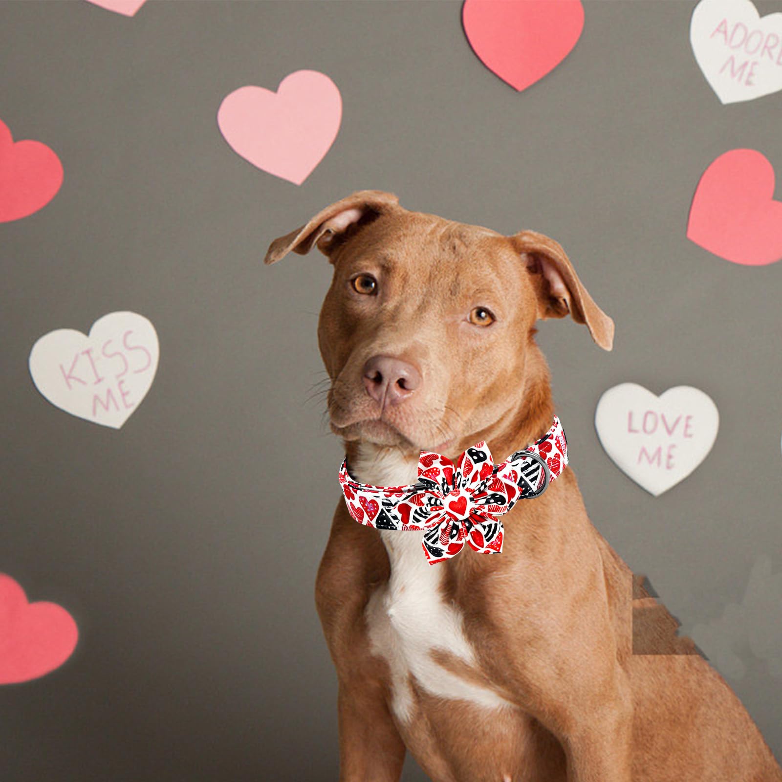 Lionheart Glory Valentine'S Day Dog Collar-Red Hearts Print Dog Collar With Flower For X-Small Dogs Spring Pink Cute Dog Bow Col