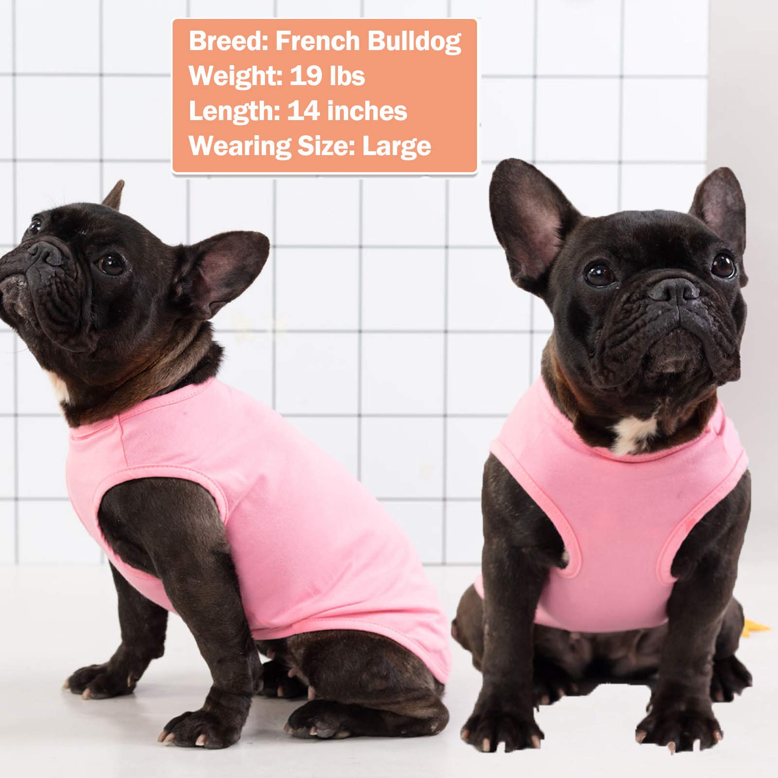 Kyeese 2 Pack Dogs Shirts Striped Dog T-Shirts Soft Cotton Tank Top Sleeveless Vest Cat Puppy Shirts