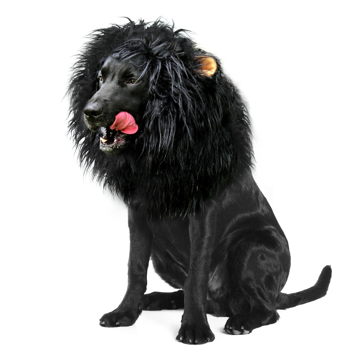 Onmygogo Lion Mane Wig For Dogs With Ears, Funny Pet Costumes For Halloween Christmas (Size M, Black)