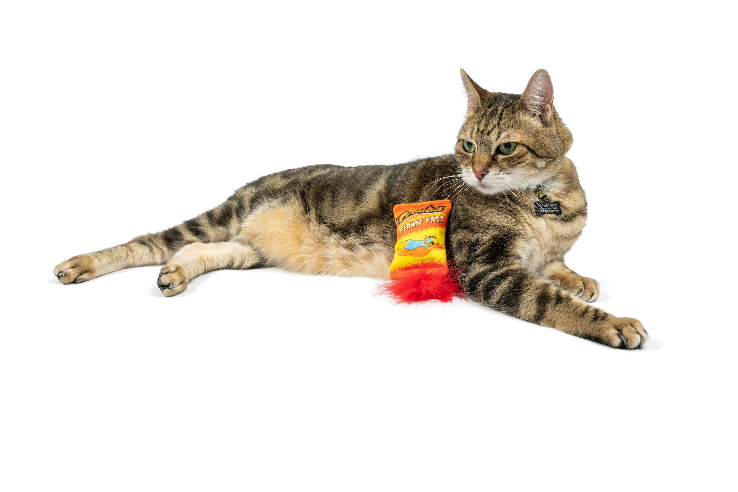 Huxley & Kent Plush Cat Toy - Treatos Snacks - Snack Attack Strong Catnip Filled - Plush Interactive Kitten And Cat Toy With Cat