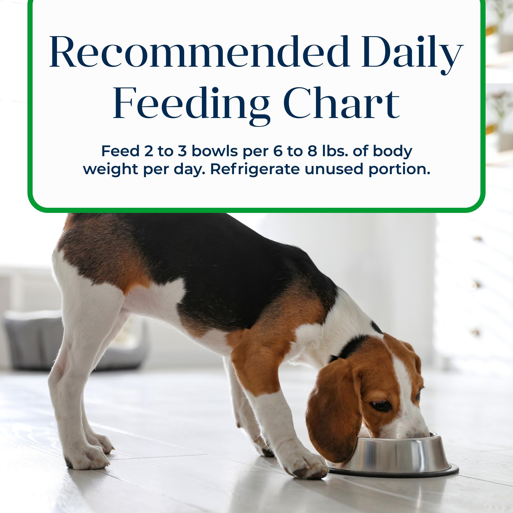 Blue Buffalo Basics Adult Small Breed Grain-Free Wet Dog Food for Skin & Stomach Care, Limited Ingredient Diet, Lamb Recipe, 3.5