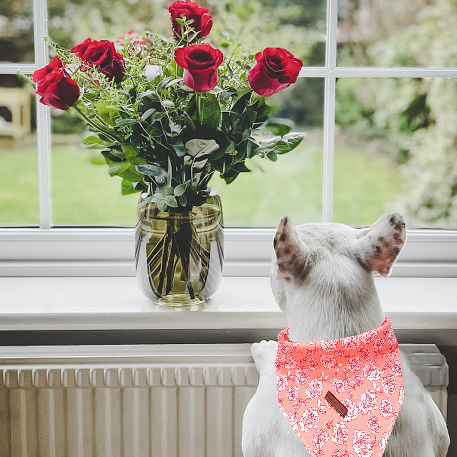 Lionheart Glory Rose Print Dog Bandana 1 Pack Washable Soft Scarf, Square Adjustable Bandana For Small Dogs And Cats