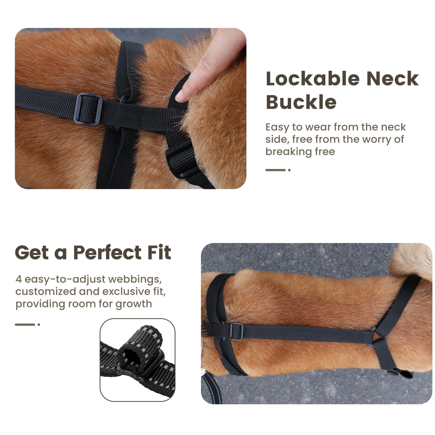 Cotati Dog Suspender Boots Waterproof Dogs Boots & Leggings,Dog Paws Shoes Protectors With Suspenders Small To Large For Snow An
