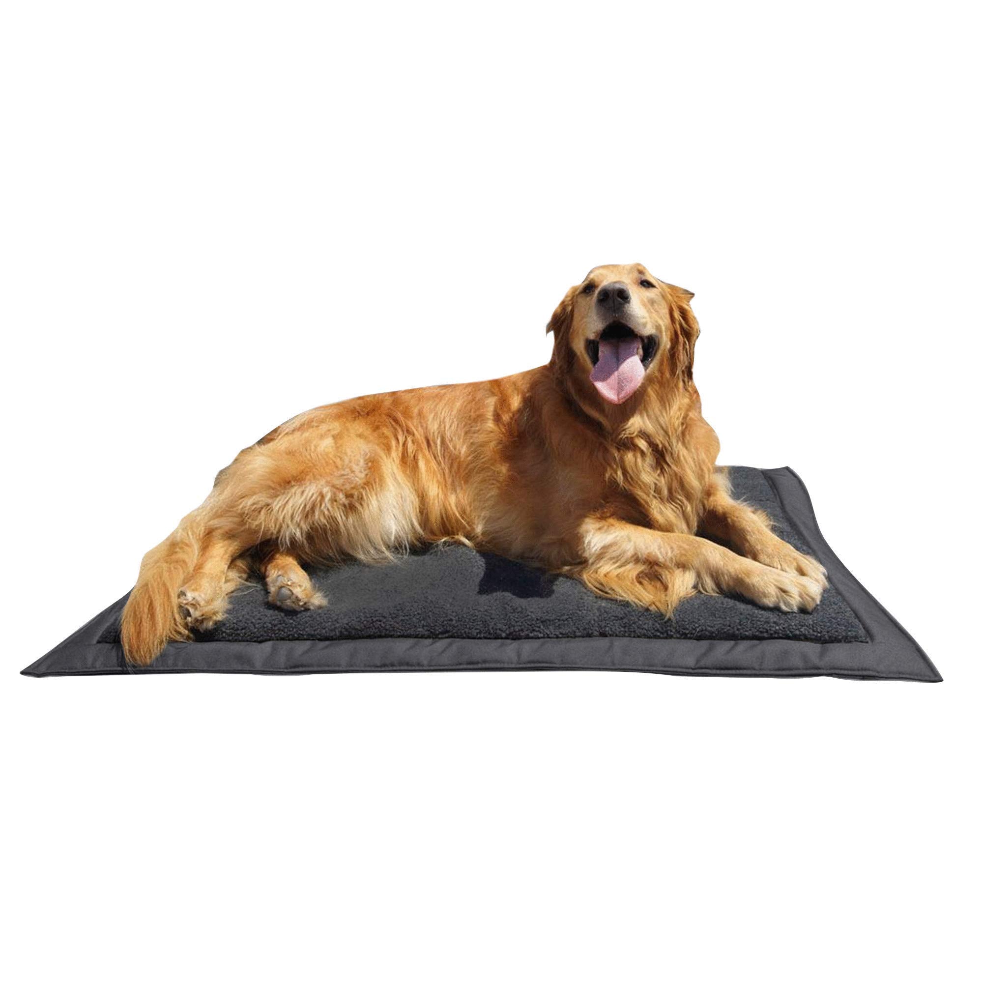 Lightspeed Outdoors Self Inflating Fleece Top Cover Travel Dog Bed | Kennel Bed ,32Inch by 42 Inch