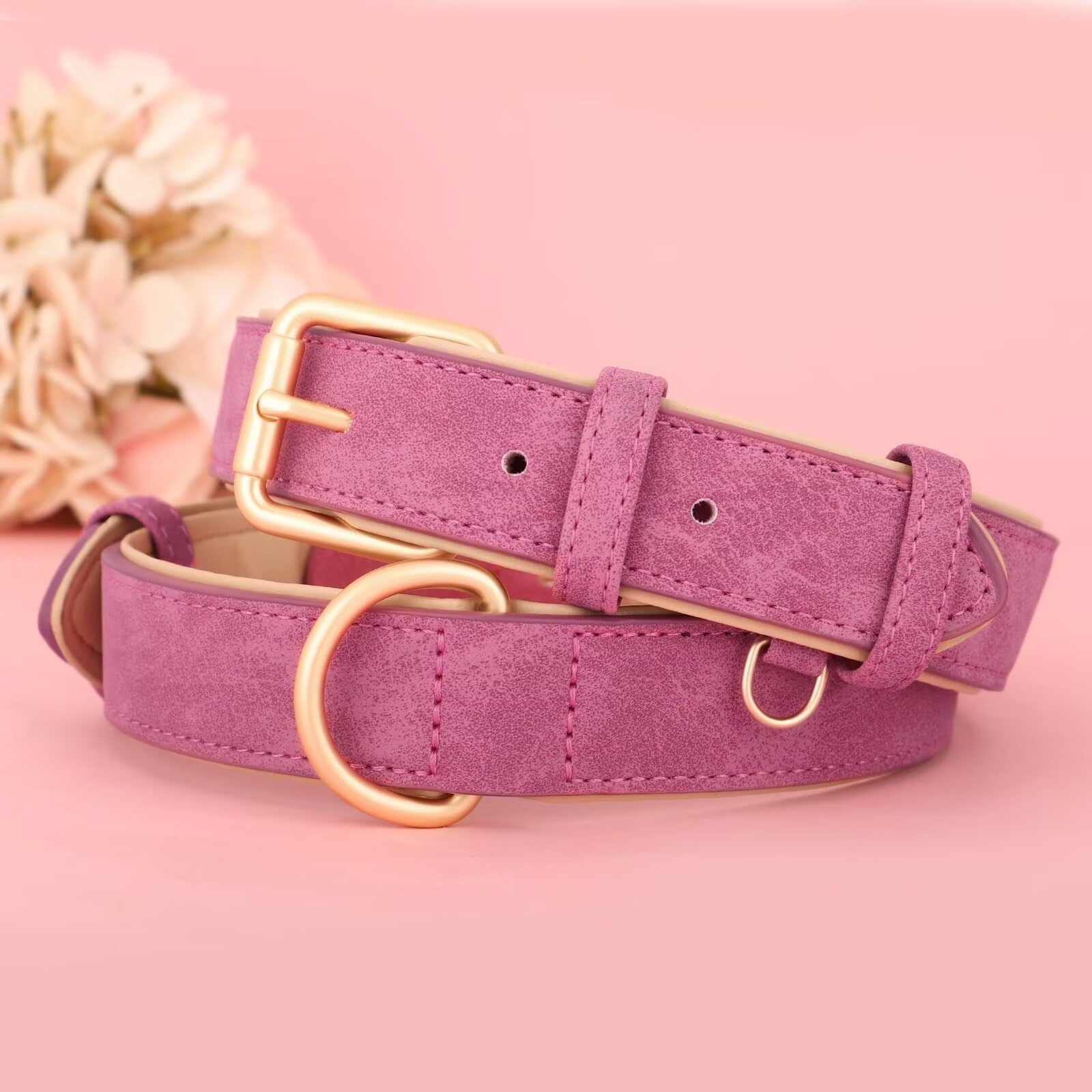 Didog Soft Padded Leather Dog Collar, Adjustable Dog Collars For Medium Dogs With Heavy Duty Metal Buckle And D Ring,Hot Pink,M