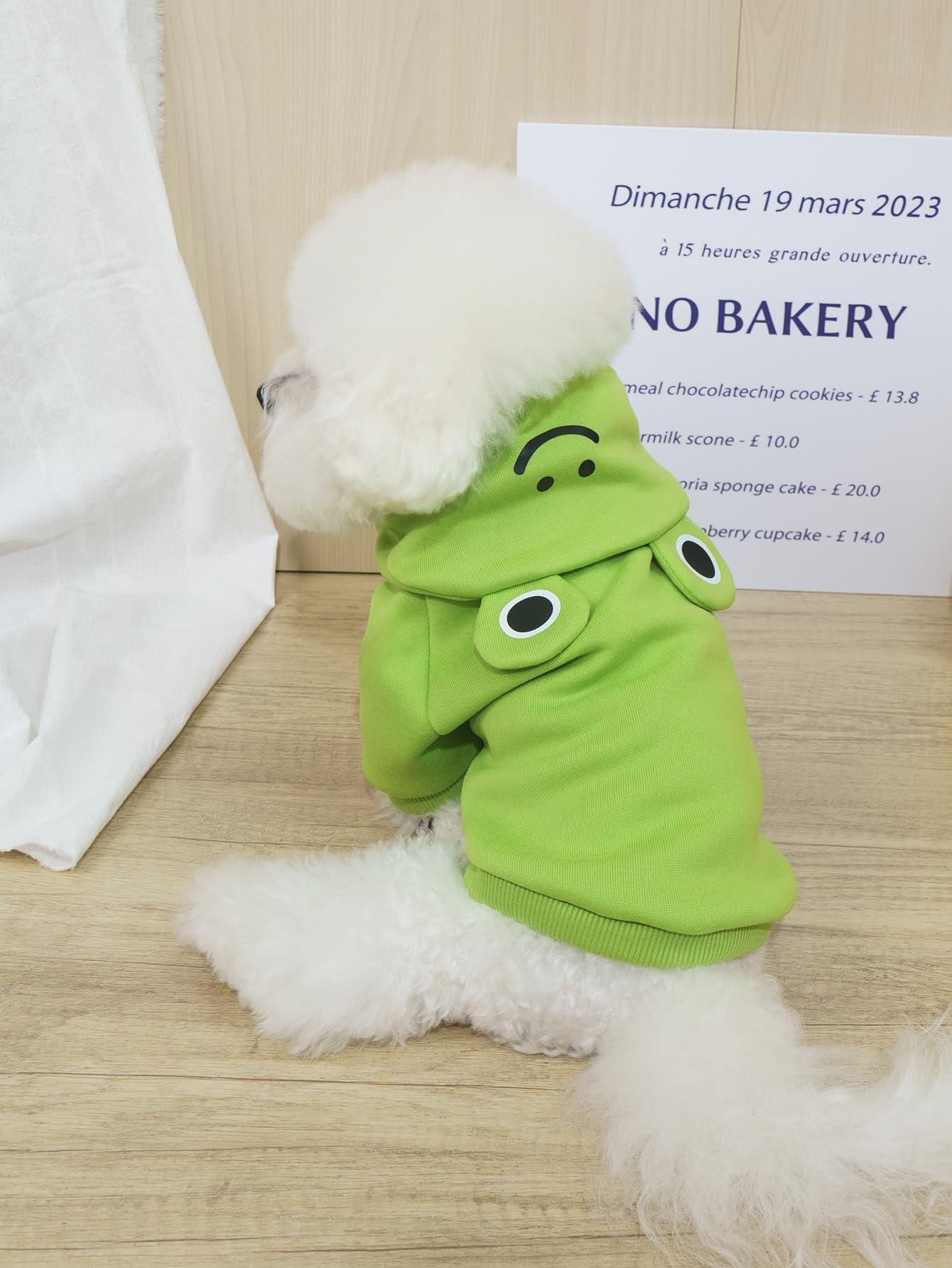 Qwinee Frog Dog Hoodie Dog Warm Jacket Coat Puppy Sweatshirt Christmas Halloween Dog Costume Cosplay Winter Dog Clothes Pet Apparel For Small Medium Dogs Cats Kitten Green Xl