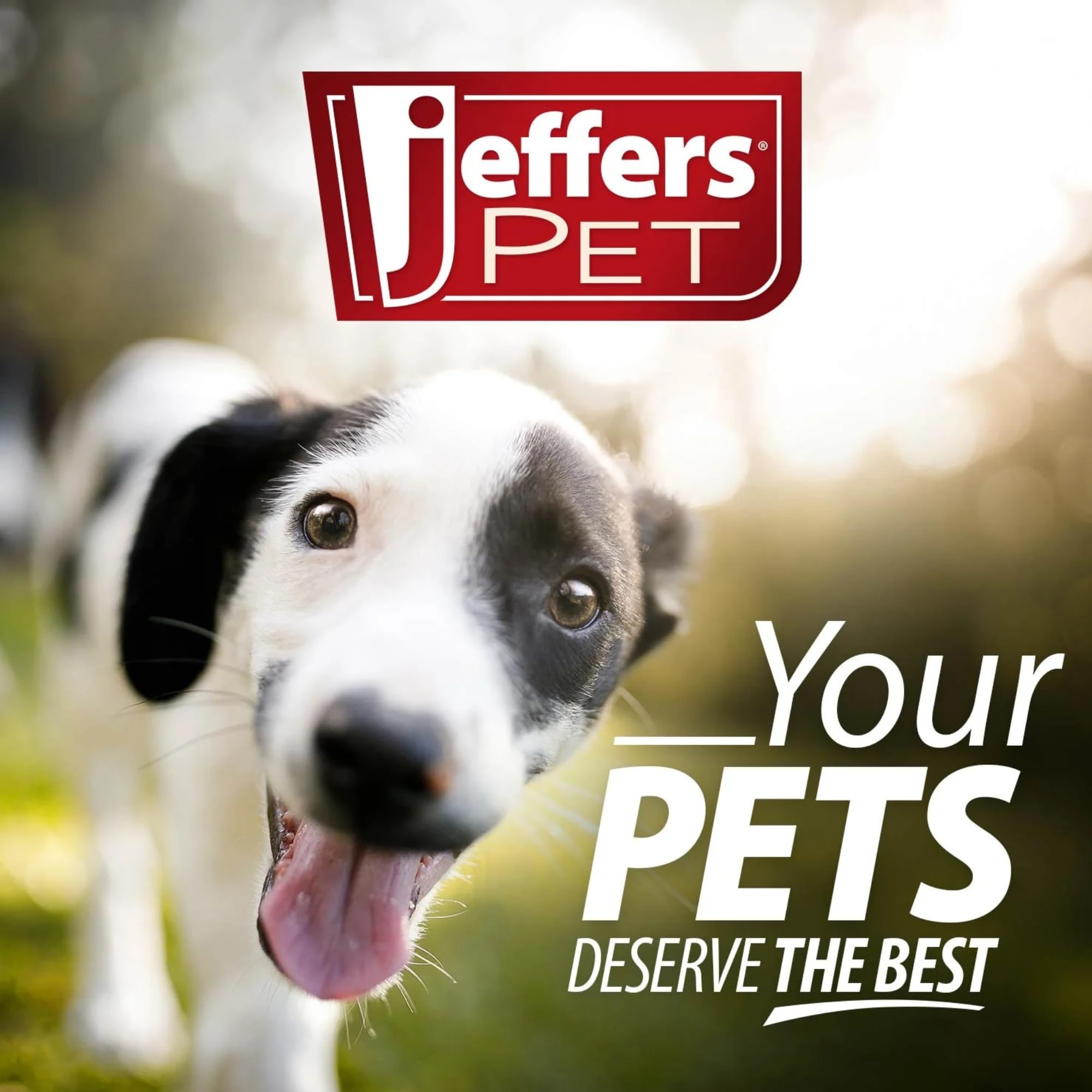 Jeffers Pet Plush Dog Toy With Squeaker, Fleecy Red Heart 6.5'' - Soft Crinkle Fabric, Safe & Durable, Healthy Fun For Small & M