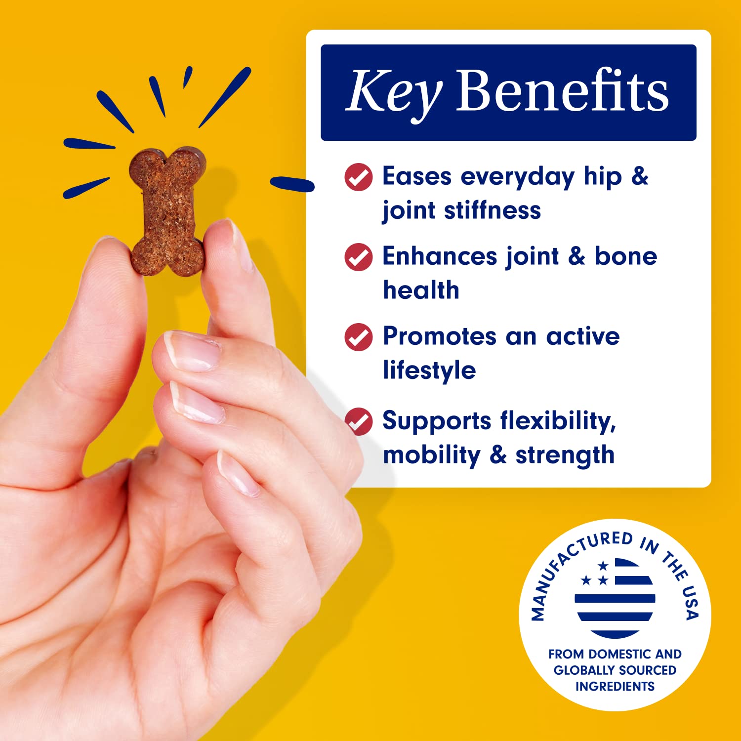 Petlab Co. Joint Care Chews - High Levels of Glucosamine for Dogs, Green Lipped Mussels, Omega 3 and Turmeric - Dog Hip and Join