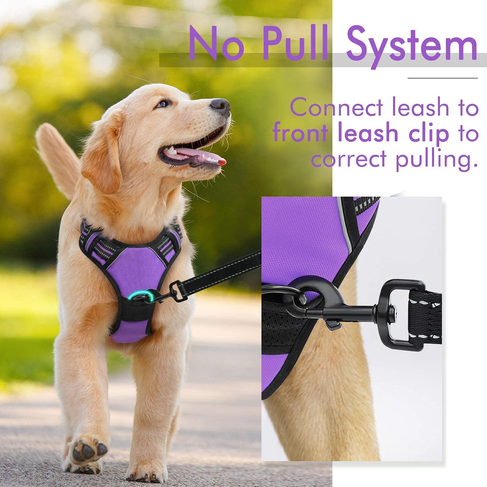 Rabbitgoo Dog Harness, No-Pull Pet Harness With 2 Leash Clips, Adjustable Soft Padded Dog Vest, Reflective No-Choke Pet Oxford Vest With Easy Control Handle For Large Dogs, Purple, Xl