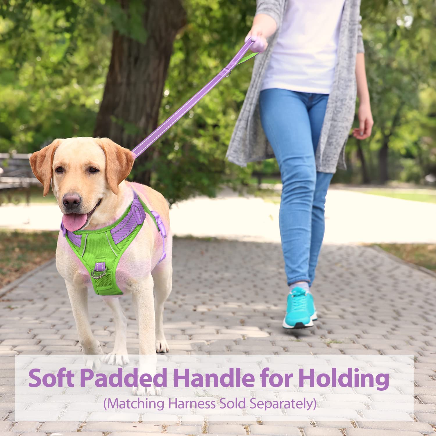 Phoepet 5 Feet Dog Leash - Dual-Side Reflective - Soft Padded Handle - Fit For Walking, Training Or Exploring Hiking, Camping (B