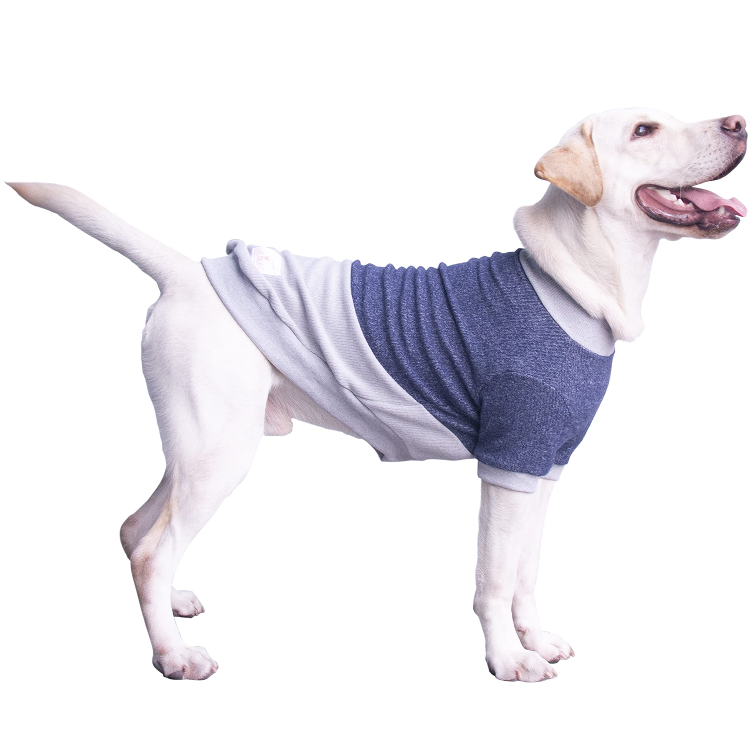 Arunners Extra Large Dog Sweaters Warm Clothes Pullover Sweatshirts For Labrador Rottweiler Great Dane, Blue Grey, 3X-Large