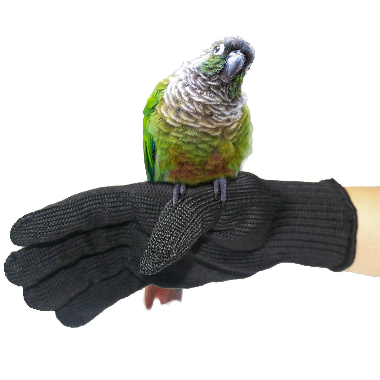 Bac-Kitchen Bird Training Anti-Bite Gloves, Level 5 Protection, Parrot Chewing Working Safety Protective Gloves For Small Animal Pet Squirrels Hamster Parrotlets Cockatiels Finch Macaw (2 Pairs)