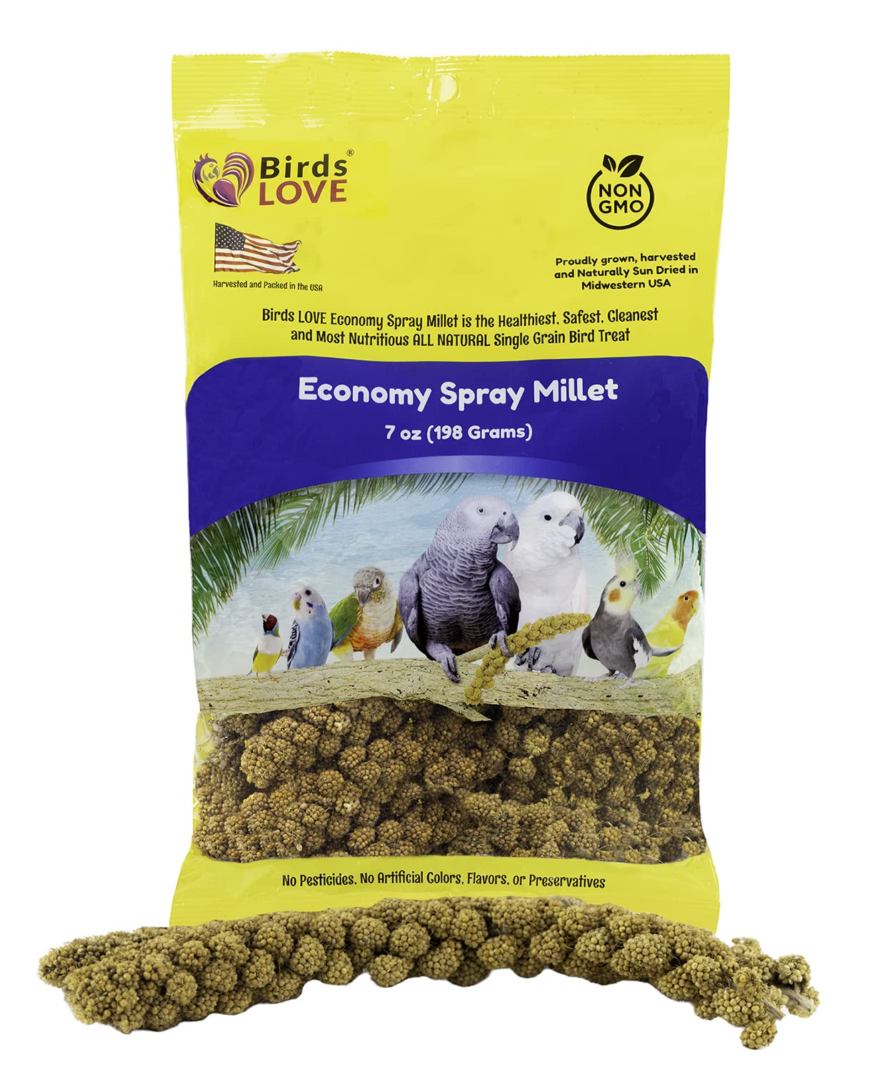 Birds LOVE Economy Special Spray Millet GMO-Free (No Stems Only Edible Tops) for Birds Cockatiel Lovebird Parakeet Finch Canary 