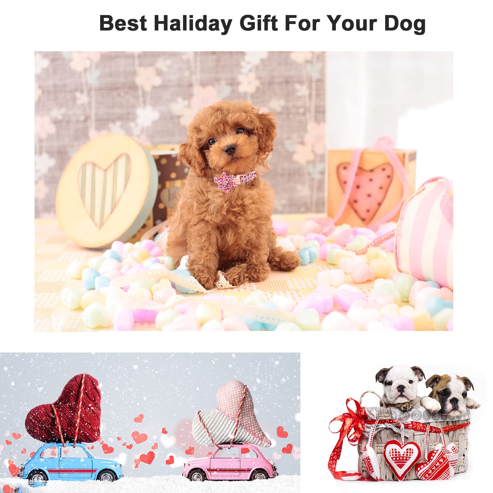 2023 New Valentine'S Day Dog Collar Flower Tie-Babole Pet,White Red Pink Love Male Dog Collar With Safety Metal Buckle Adjustabl