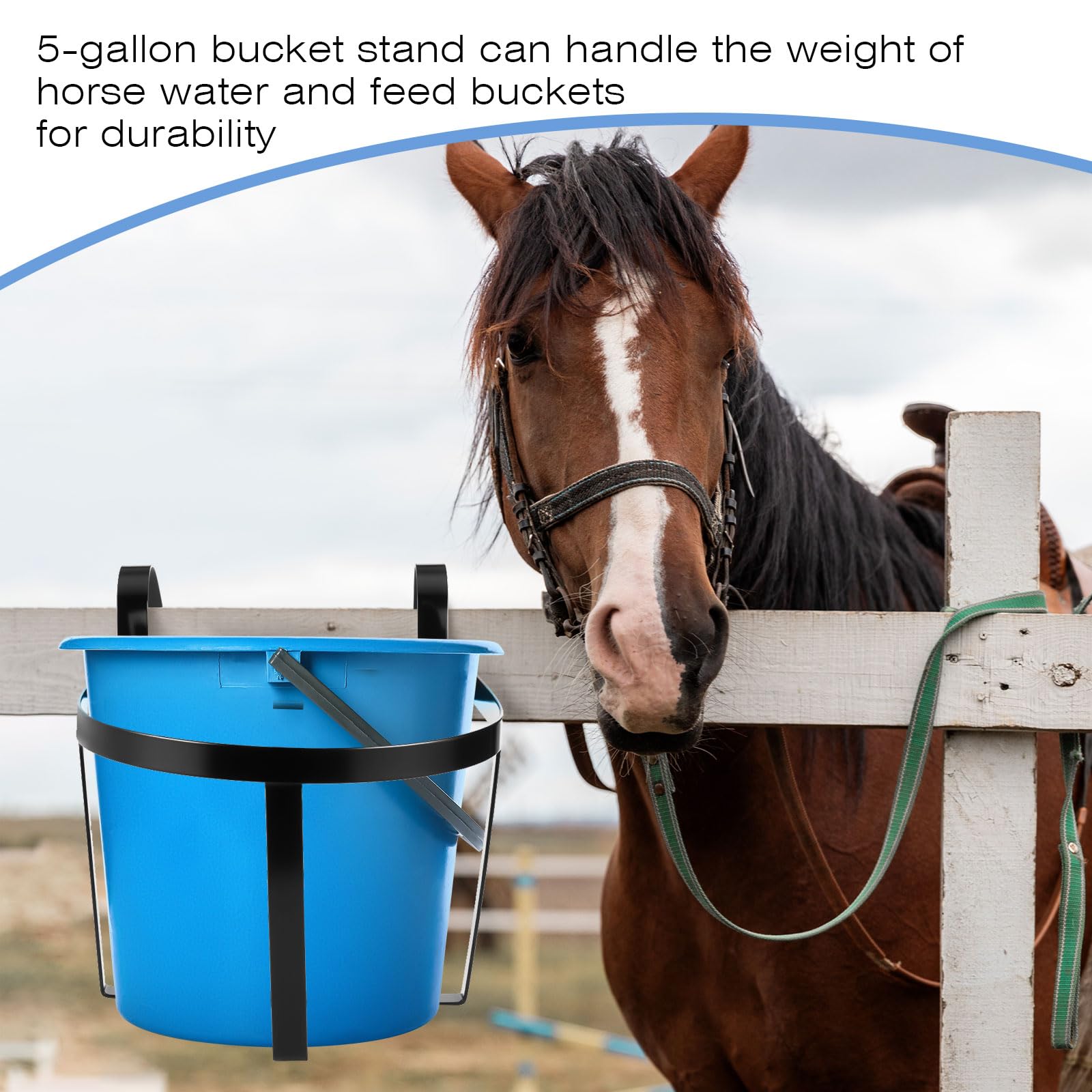 Teenyyou 2 Pcs Heavy Duty Bucket Holder with Hook Metal Bucket Hangers for 5 Gallon Horse Water and Feed Wall Mount Livestock Pa