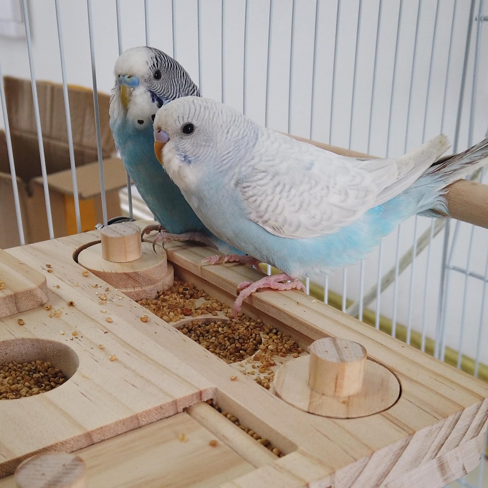 FlidRunest Wooden Bird Foraging Puzzle Toys for Parrots, Parakeet, Cockatiel, Sun Conures - Birds Interactive Mental Enrichment