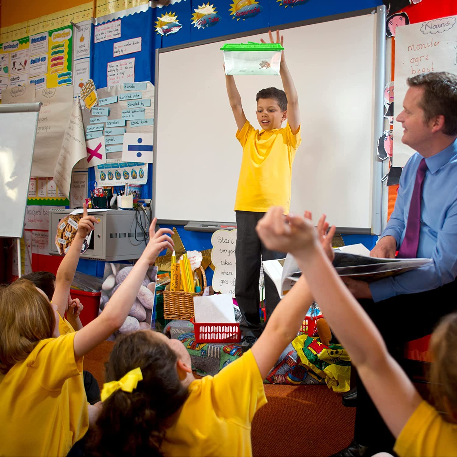 Needzo Hermit Crab Tank With Carrier Handles, Plastic Terrariums For Reptiles, Crabs, Lizards, And More, 12.5 Inches