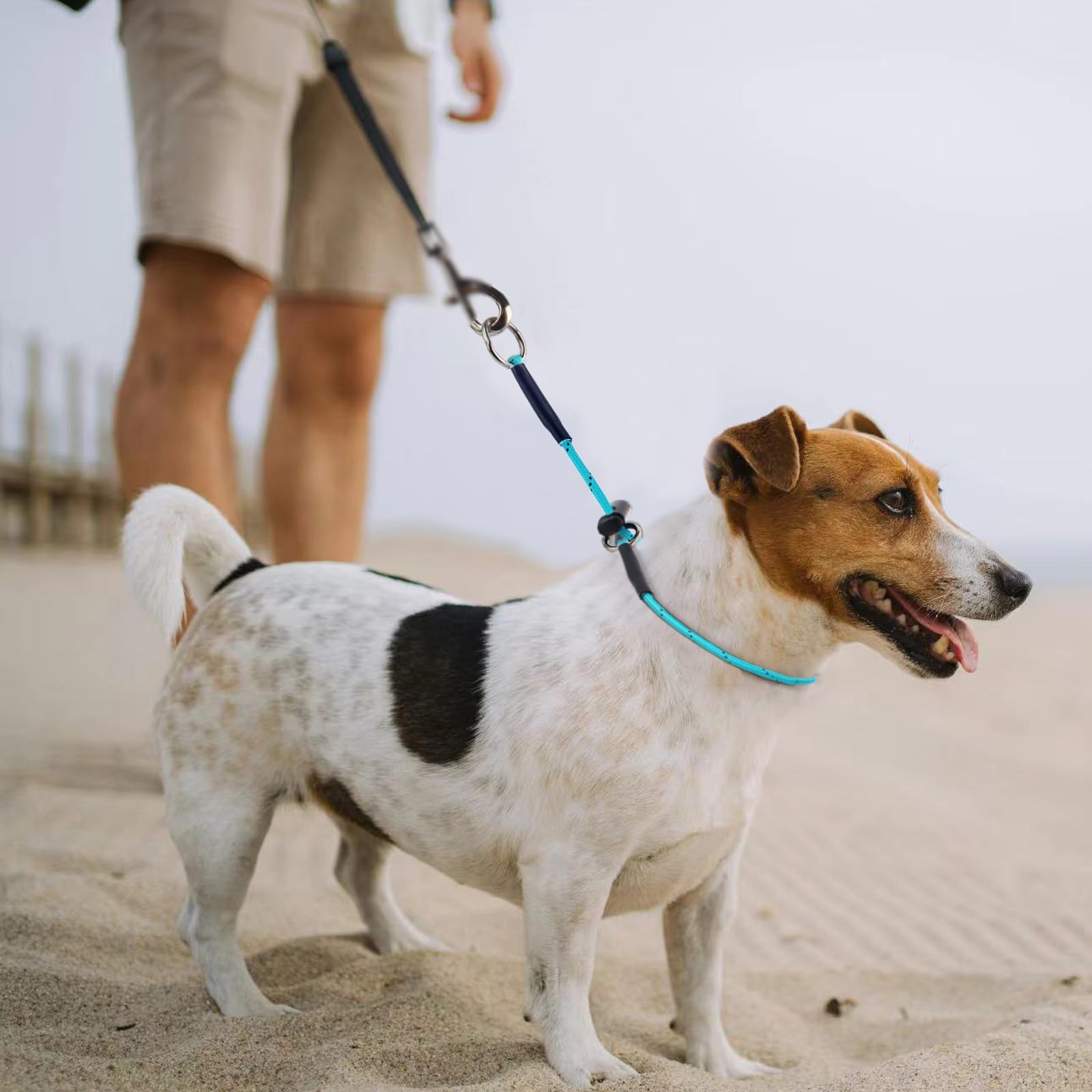 Slip Collar Training Collars For Dogs - 4.2Mm 1000Lb Paracord 22'' Thin Reflective Martingale Collar With Adjustable Stopper & S