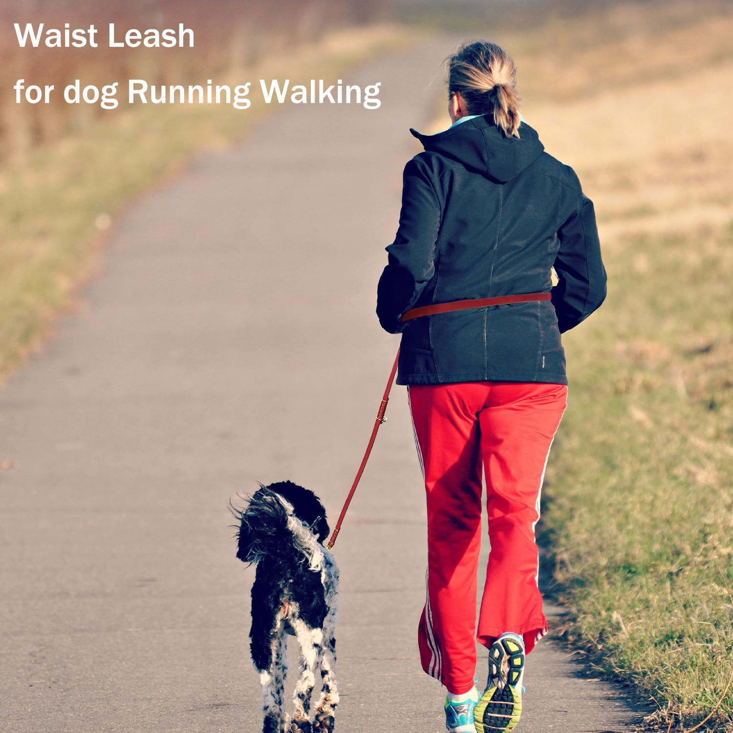 Lwbmg Multi Function Leather Dog Leash 8Ft Genuine Leather Leash Hands Free Dog Leash Double Ended Dog Training Leash For Medium