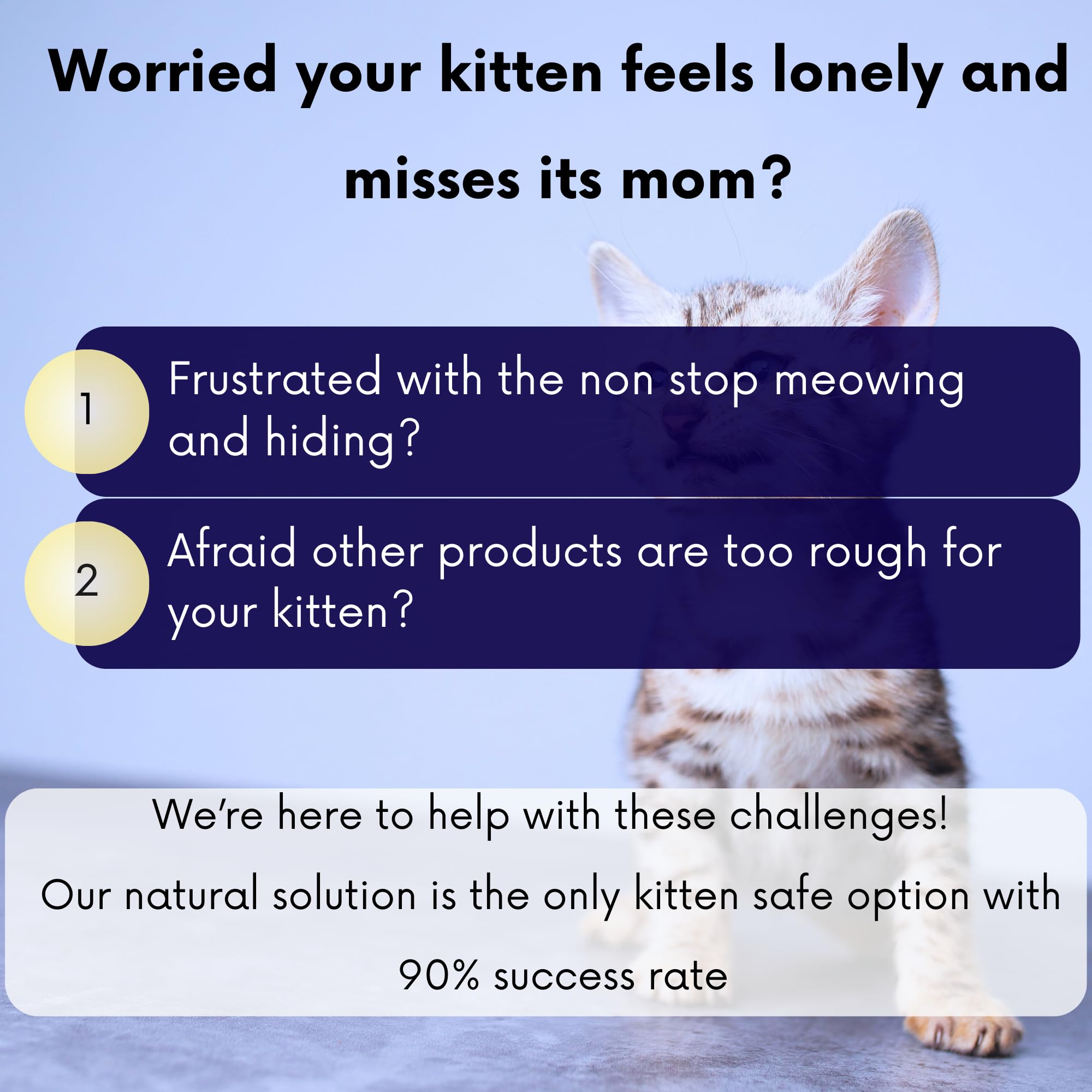 Kitten Calming Collar With 100% Natural Oil, Cat Stress And Anxiety Relief, Kitten Calming Products, Breakaway, Vet-Approved (Pu