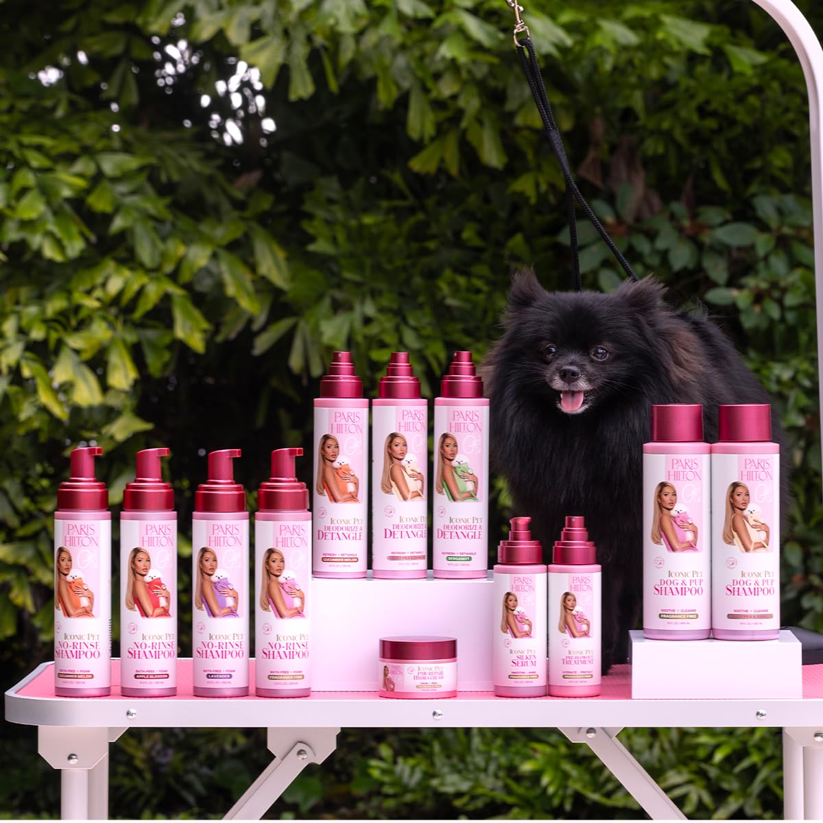 Paris Hilton Dog Perfume, Deodorizer & Detangler | Odor Neutralizing With Sweet Floral Apple Blossom Scent - Sulfate-Free, Vegan