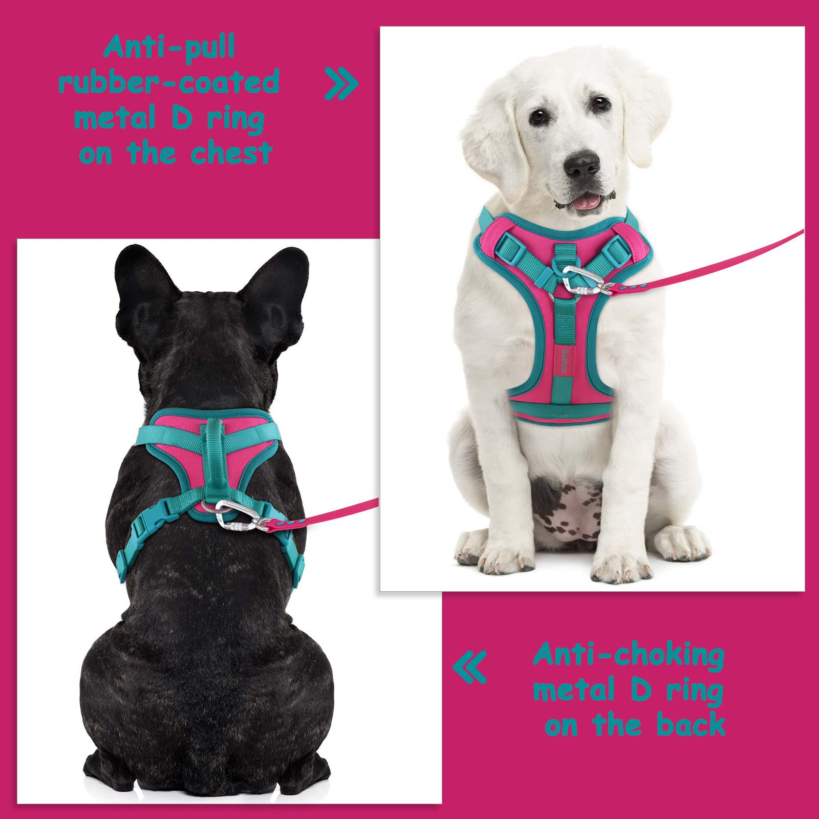 Wolfone No Pull Dog Harness - Adjustable Soft Padded Vest, Control Handle, Size S, Pink Peacock, Nylon
