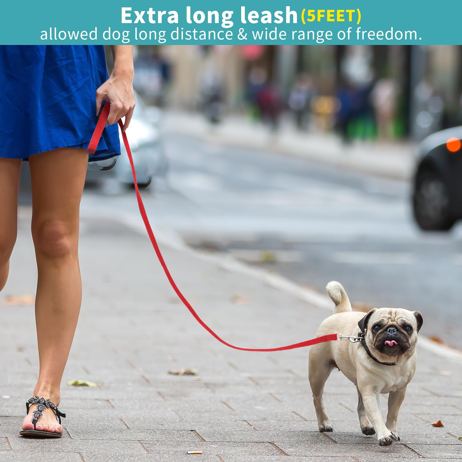 Hypeety Pet Dog Training Leash Strong Durable Nylon Lead, Traction Rope, 5 Feet Long For Puppy Kitty Rabbit Training Or Walk 3 P