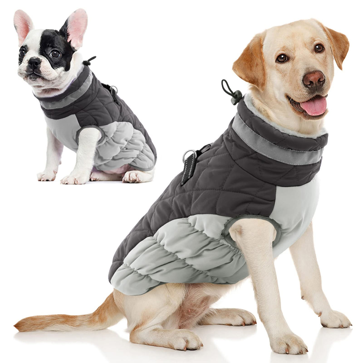 Aofitee Winter Dog Coat Warm Fleece Dog Jacket For Cold Weather, Reflective Zip Up Puppy Dog Padded Vest With Leash Rings, Outdoor Pet Sweater Snowsuit Apparel For Small Medium Large Dogs, Grey L