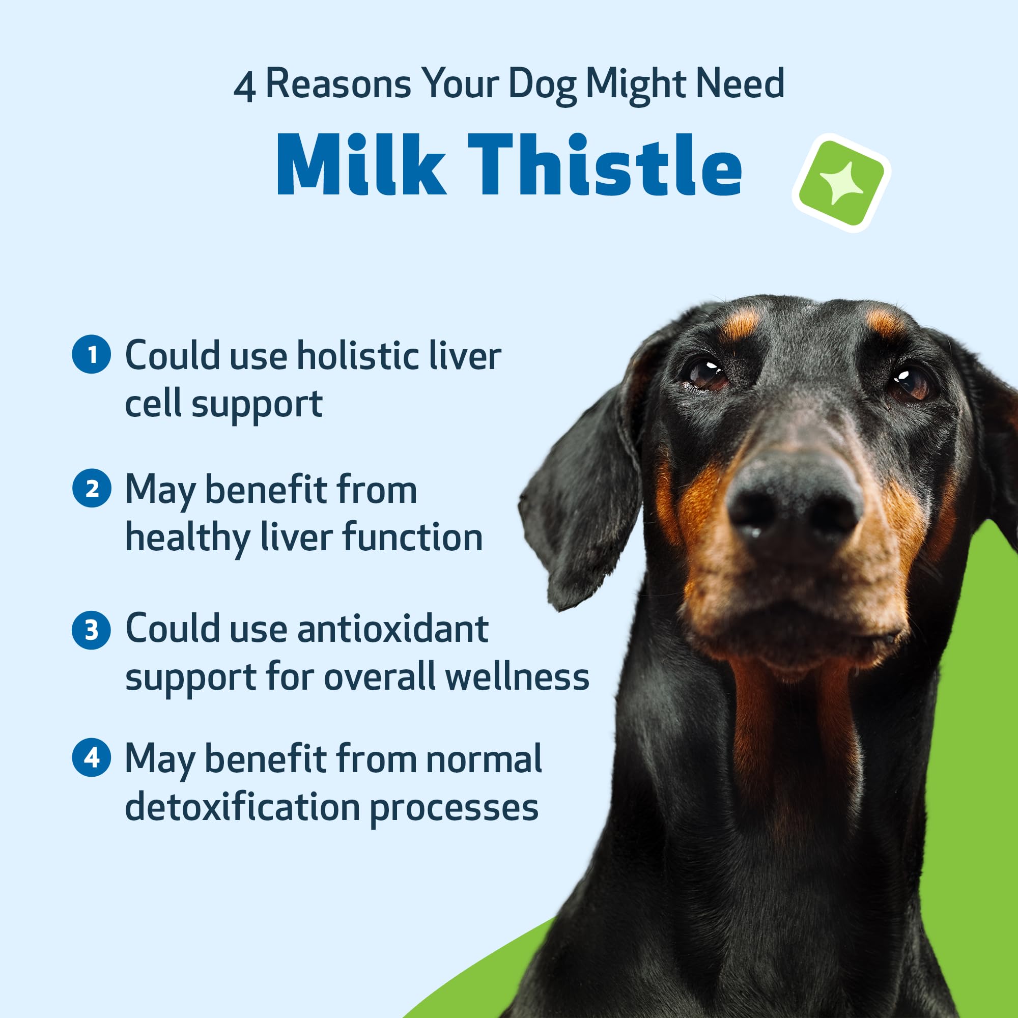 Pet Wellbeing Milk Thistle for Dogs - Organic, Supports Liver Health, Healthy Detoxification, Antioxidants, Liver Cell Support,