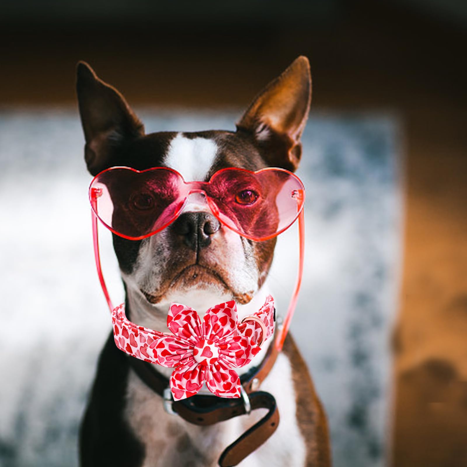 Lionheart Glory Valentine'S Day Dog Collar With Flower For Medium Dogs, Hearts Bowtie Spring Pet Collar Bows