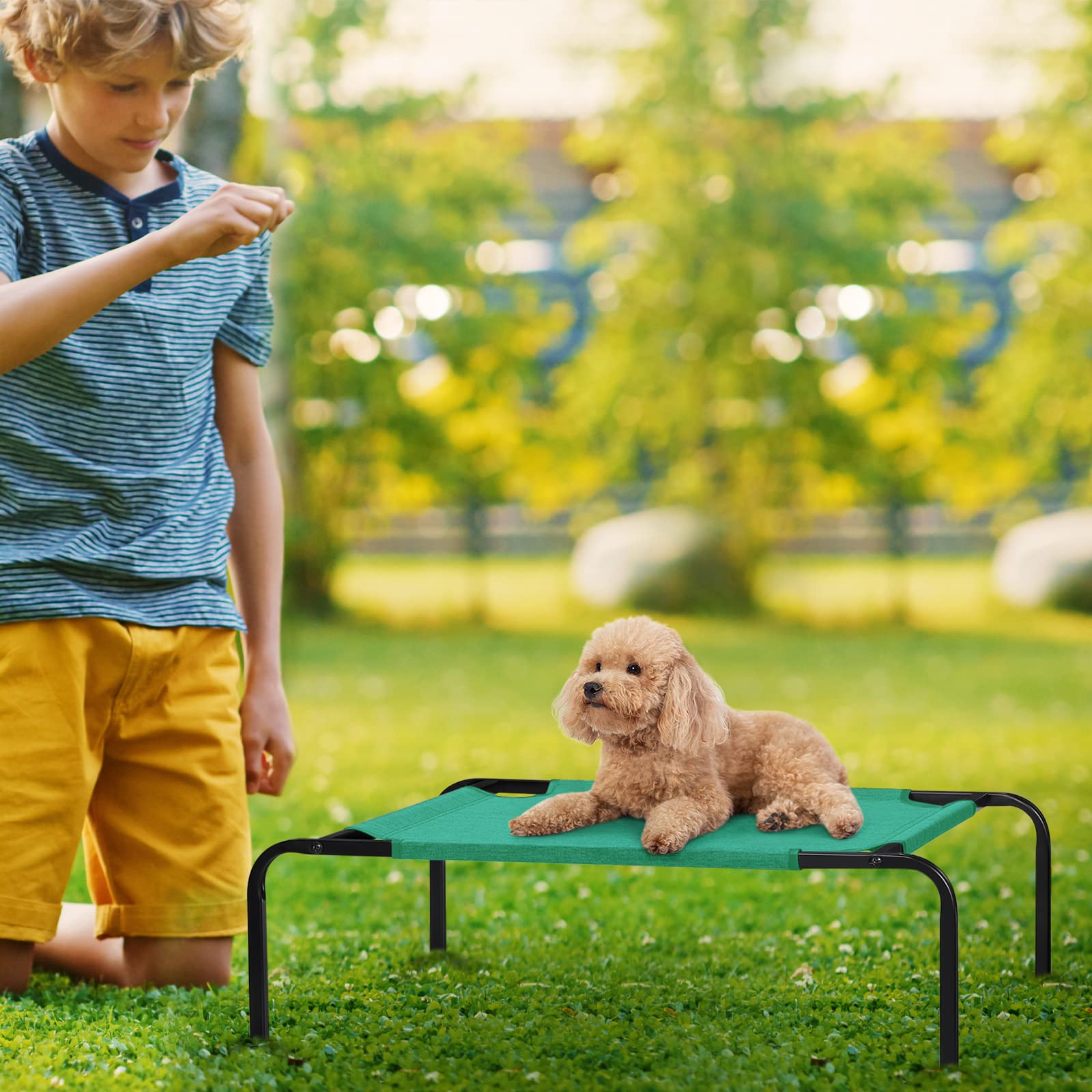 Oyeal Small Dog Cot, Elevated Pet Bed For Cats & Dogs, Cooling, Portable Pet Mat, Indoor Outdoor, Lightweight, Green, 27Kg Weight Capacity