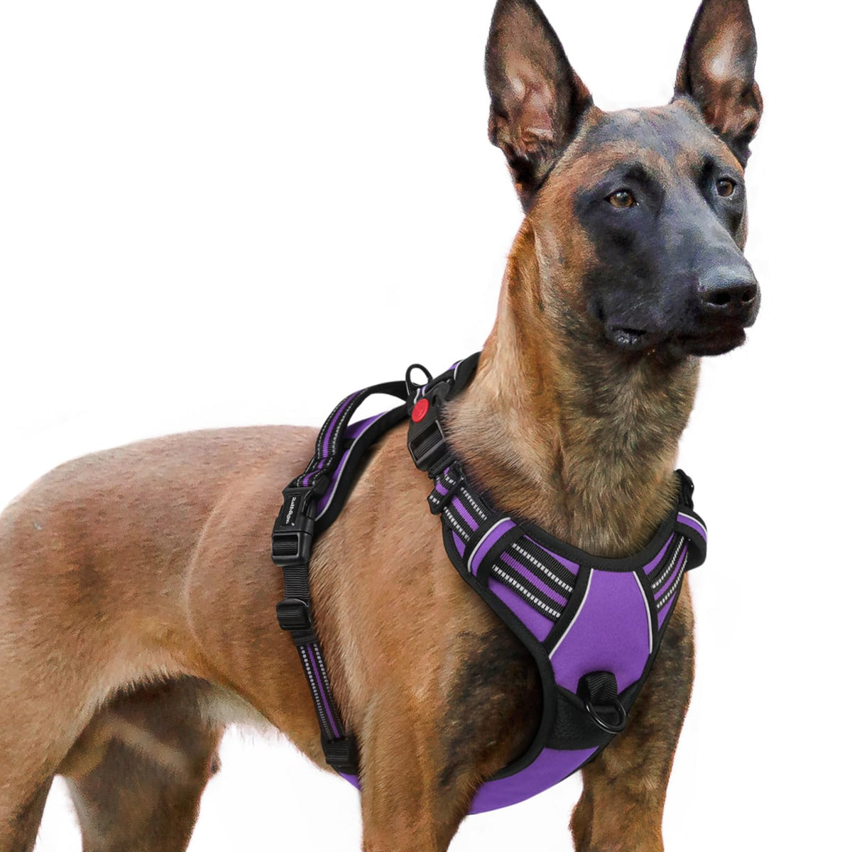 Rabbitgoo Dog Harness For Large, No Pull Pet Harness With 3 Buckles, Adjustable Soft Padded Pooch Vest With Instant Control Handle, Easy Walking Reflective Pet Vest For Extra Large Dogs, Purple, Xl