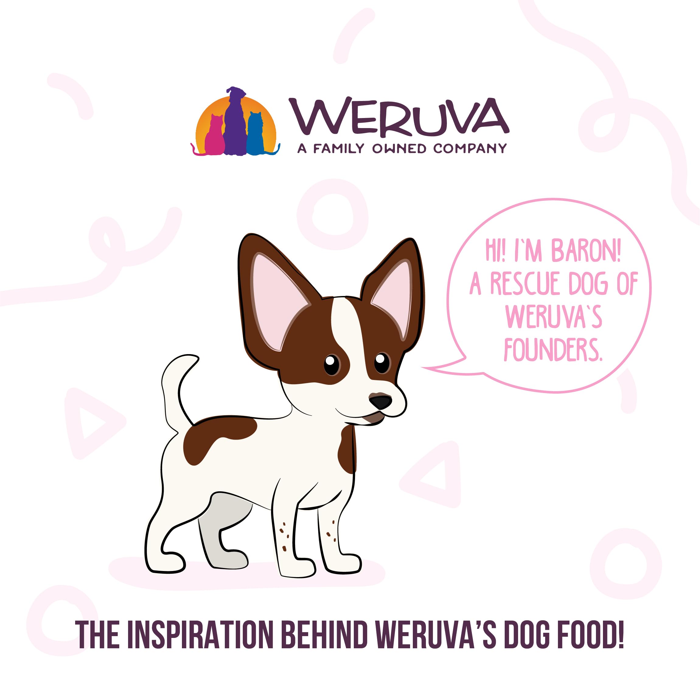 Weruva Meals n More Natural Wet Dog Food, Amazon Livin Plus Digestive Support, 3.5oz Cup (Pack of 12)