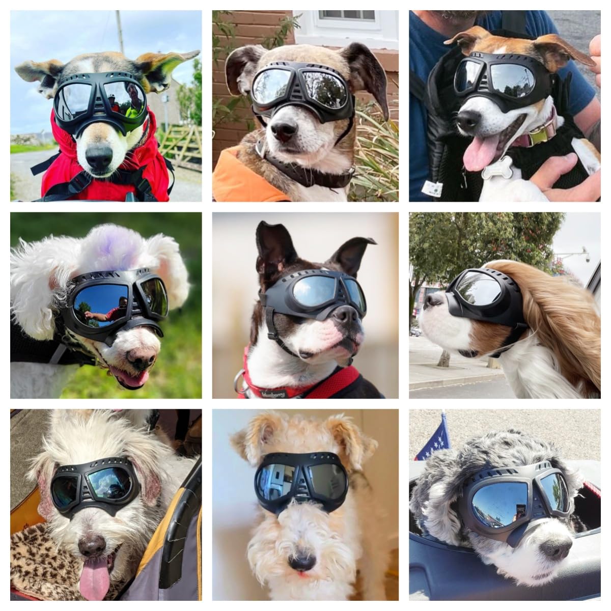 Namsan Dog Goggles For Small Dogs, Wide Nose, Soft Frame, Anti-Uv Tactical Dog Sunglasses Small To Medium Breed, Summer Driving Dog Eye Protection, Winter Snow Eyewear, Adjustable, Silver Lens
