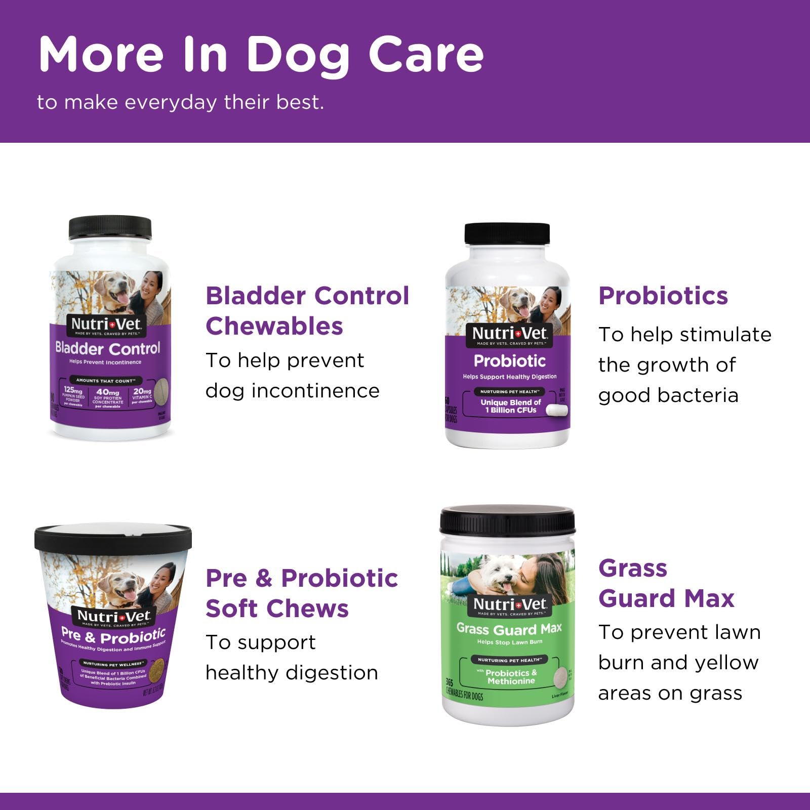 Nutri-Vet Immune & Digestive Health Biscuits for Dogs, Immune Health Biscuits, Prebiotic & Postbiotic Dog Treat, Functional Trea
