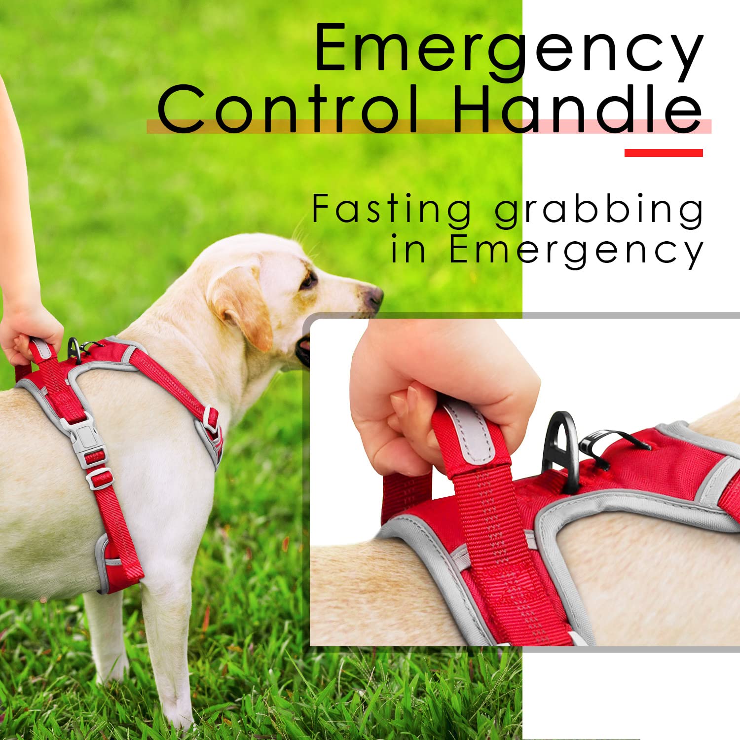 Thinkpet No Pull Harness Breathable Sport Harness With Handle - Reflective Padded Dog Safety Vest With Reflective Neon Dog Leash M Harness Leash Pack Red