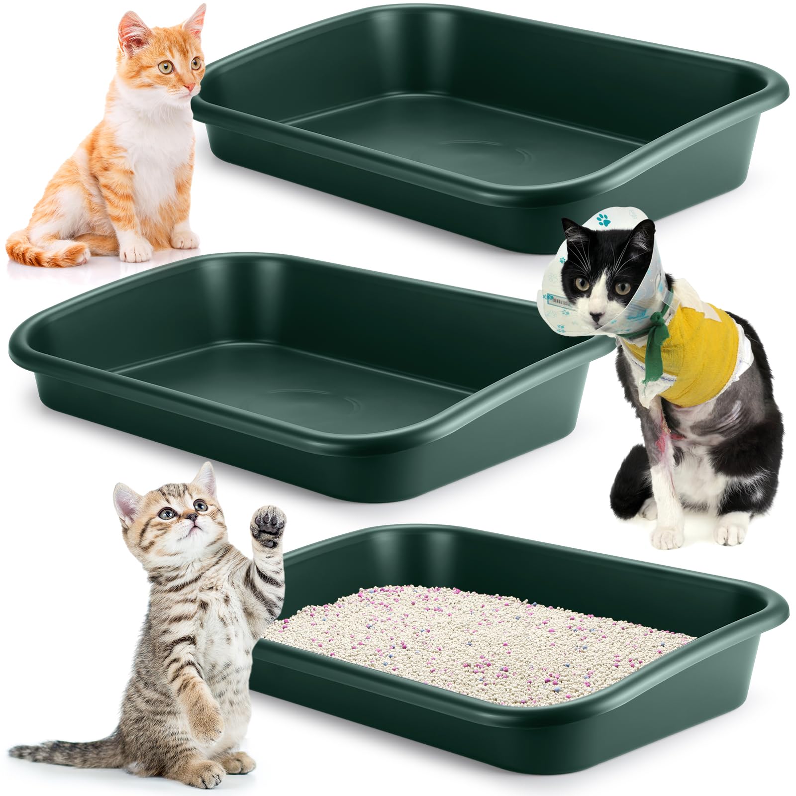 Uiifan 3 Pcs Low Entry Senior Cat Litter Box Large Size Pet Low Entry Open Top Litter Box For Senior Kitten Frail Handicap Disab