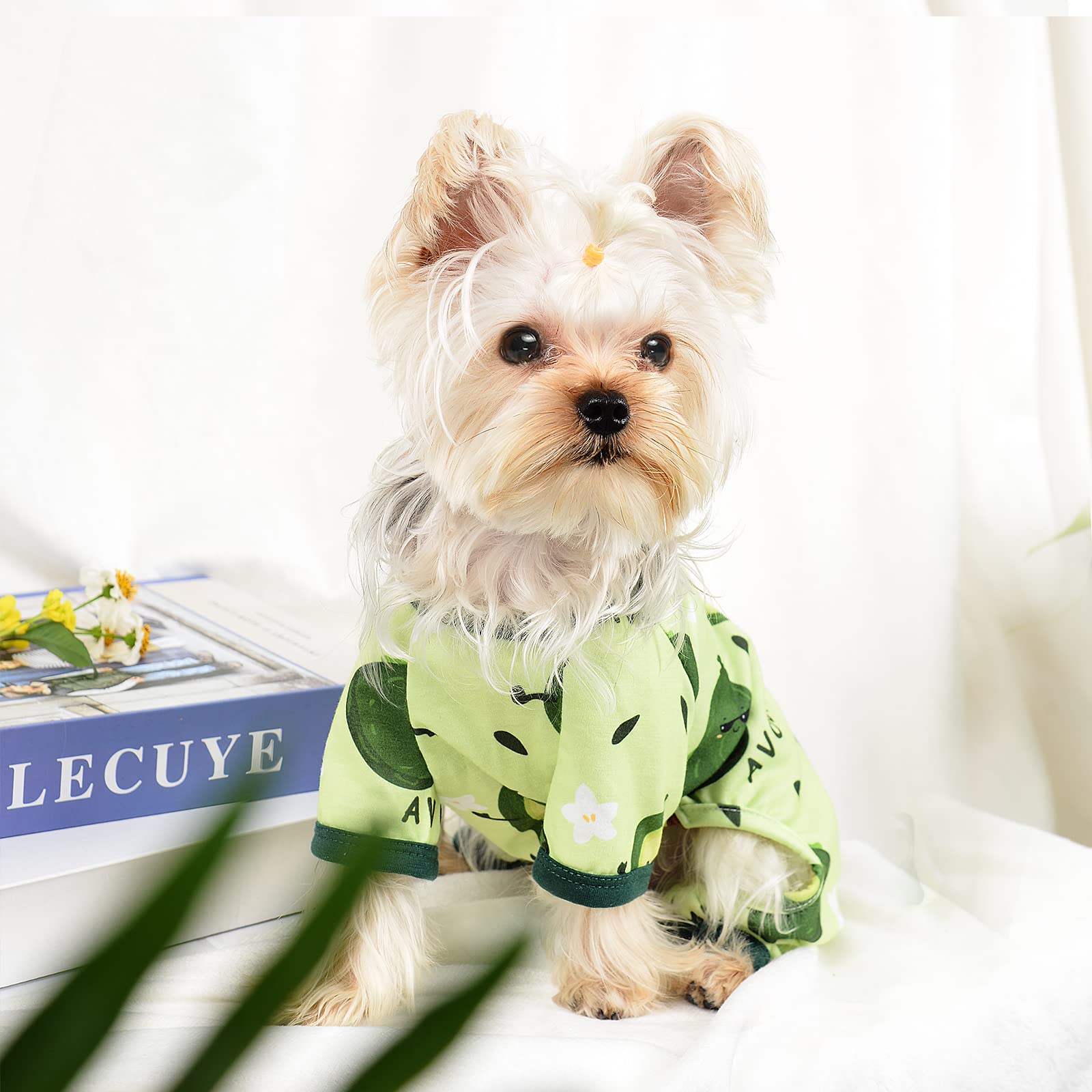 Dog Pajamas For Small Dogs Girl Boy Puppy Pjs Summer Pet Onesies For Chihuahua Yorkie Teacup Cute Soft Material Stretch Able Cat