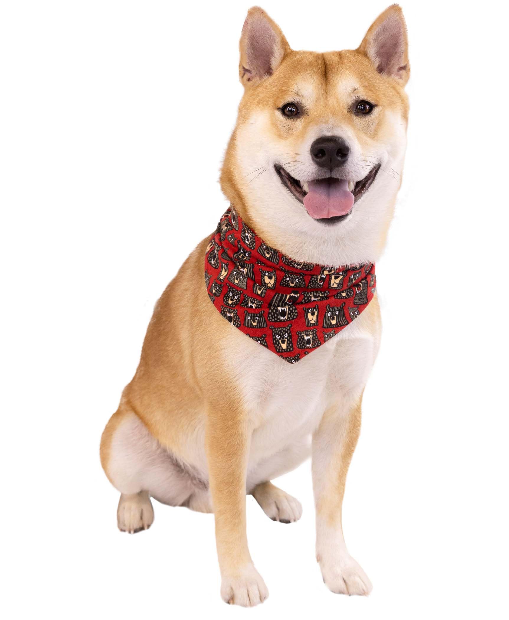 Lazy One Reversible Dog Bandana, Cute Accessories For Pets, Plaid (Medium/Large, Don'T Wake The Bear)